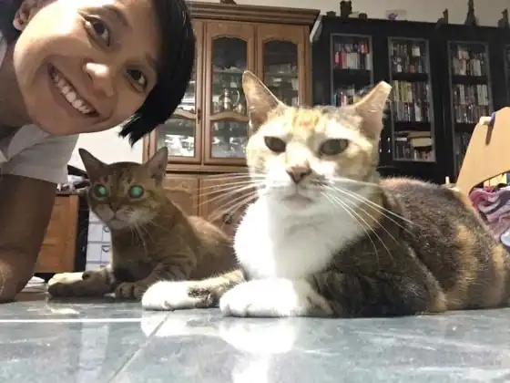 image-8