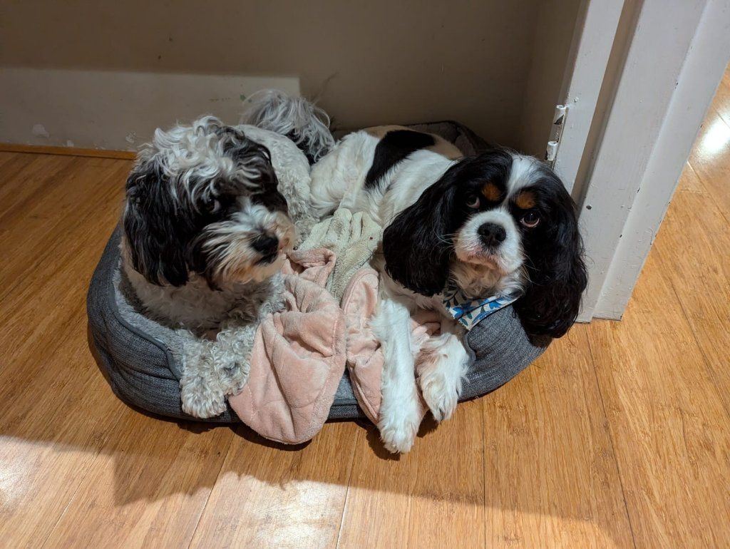 image-18