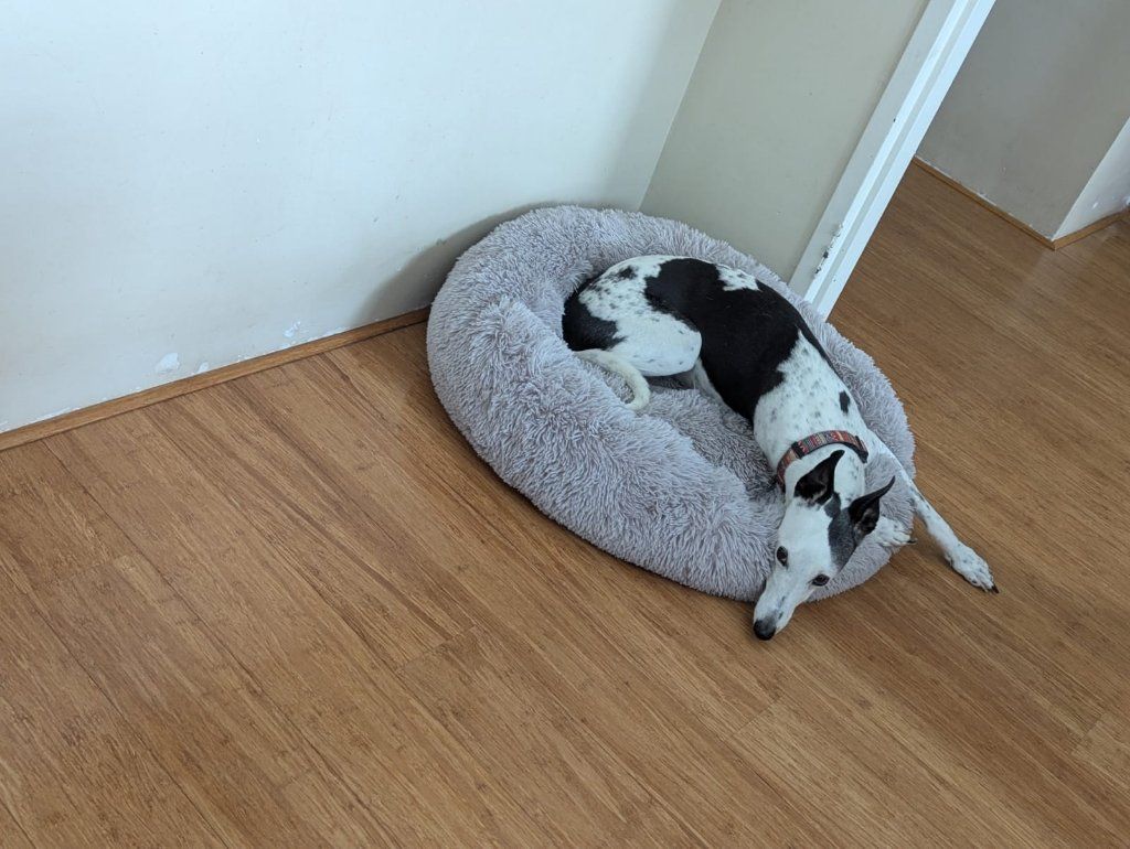 image-17