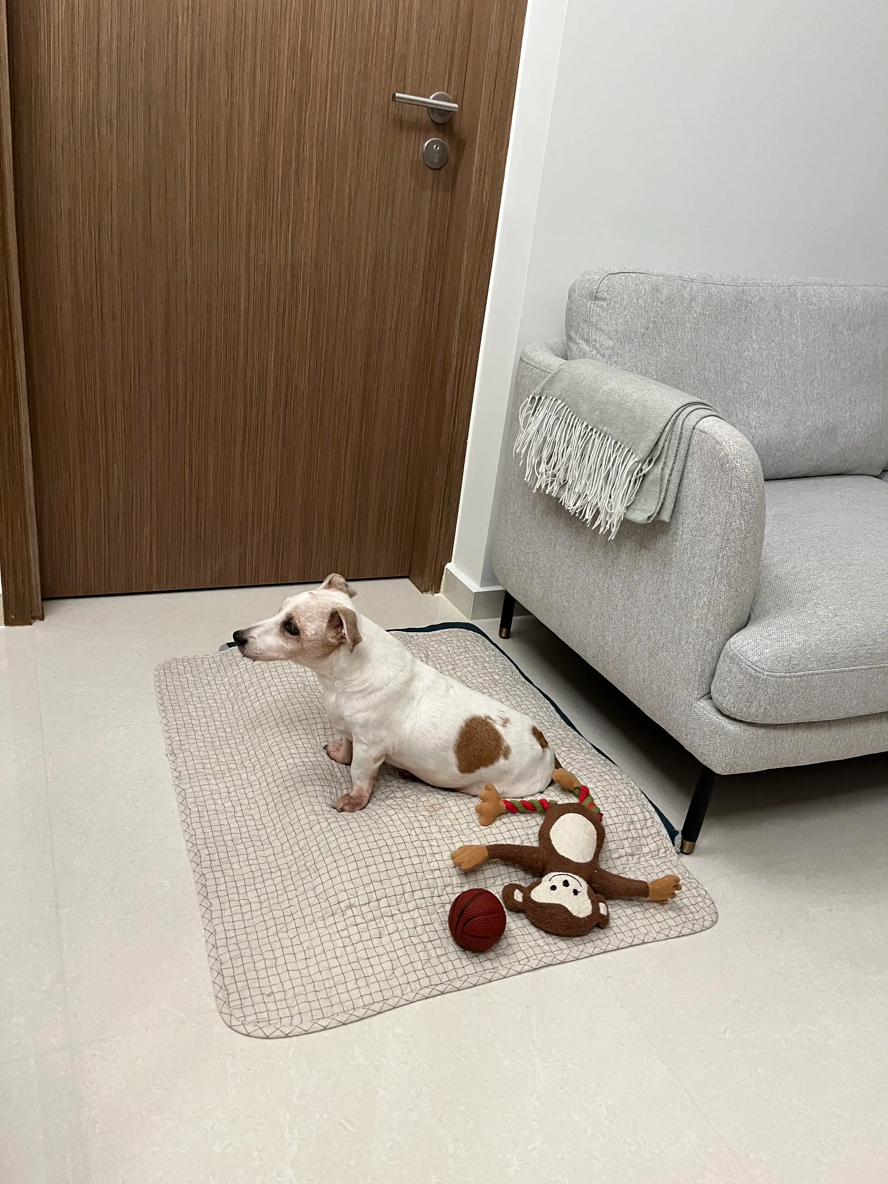 image-8
