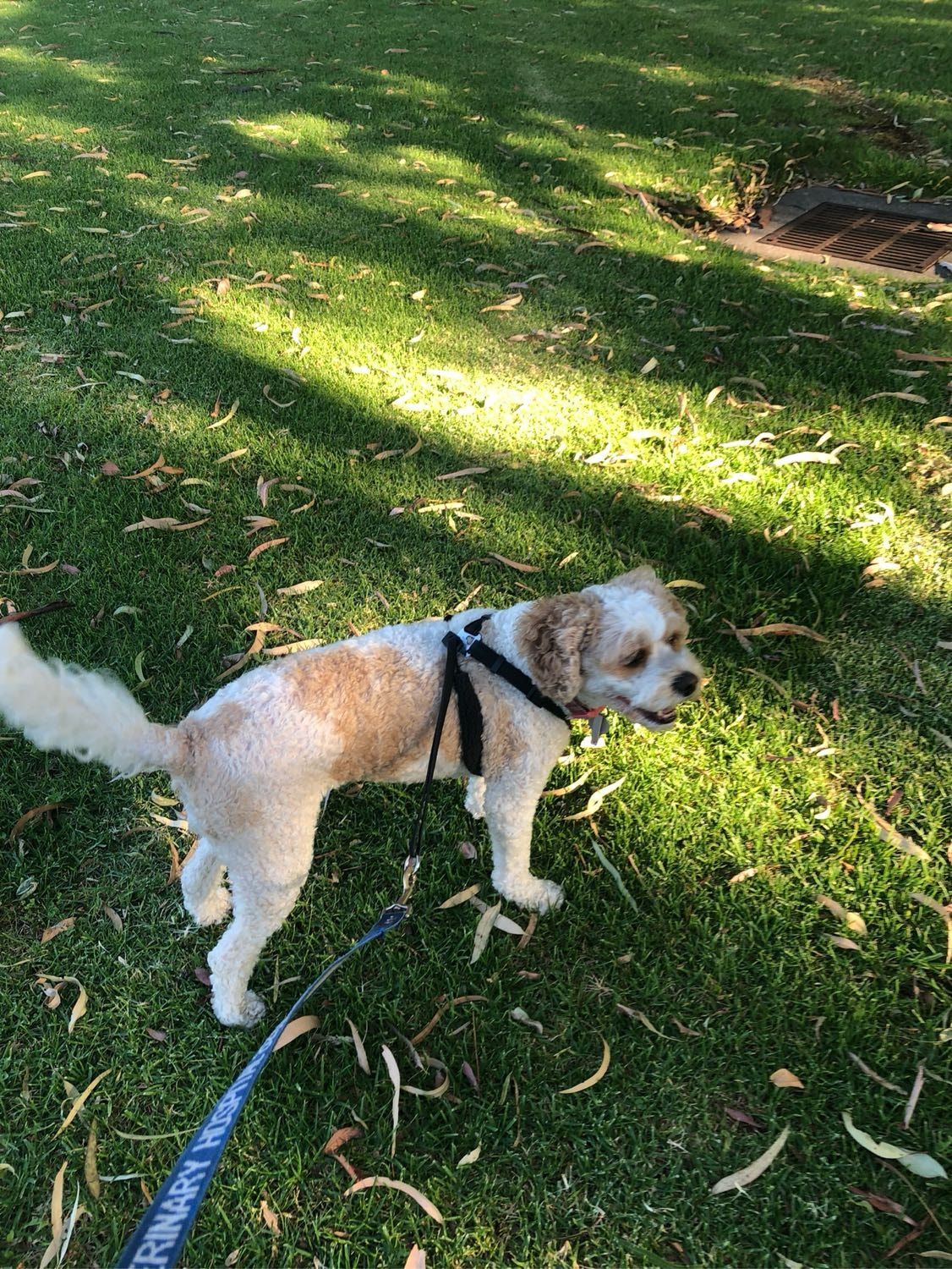 image-13