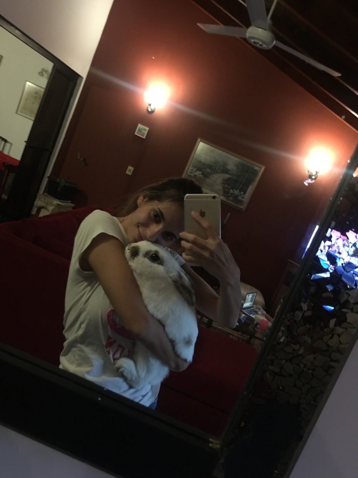 image-7