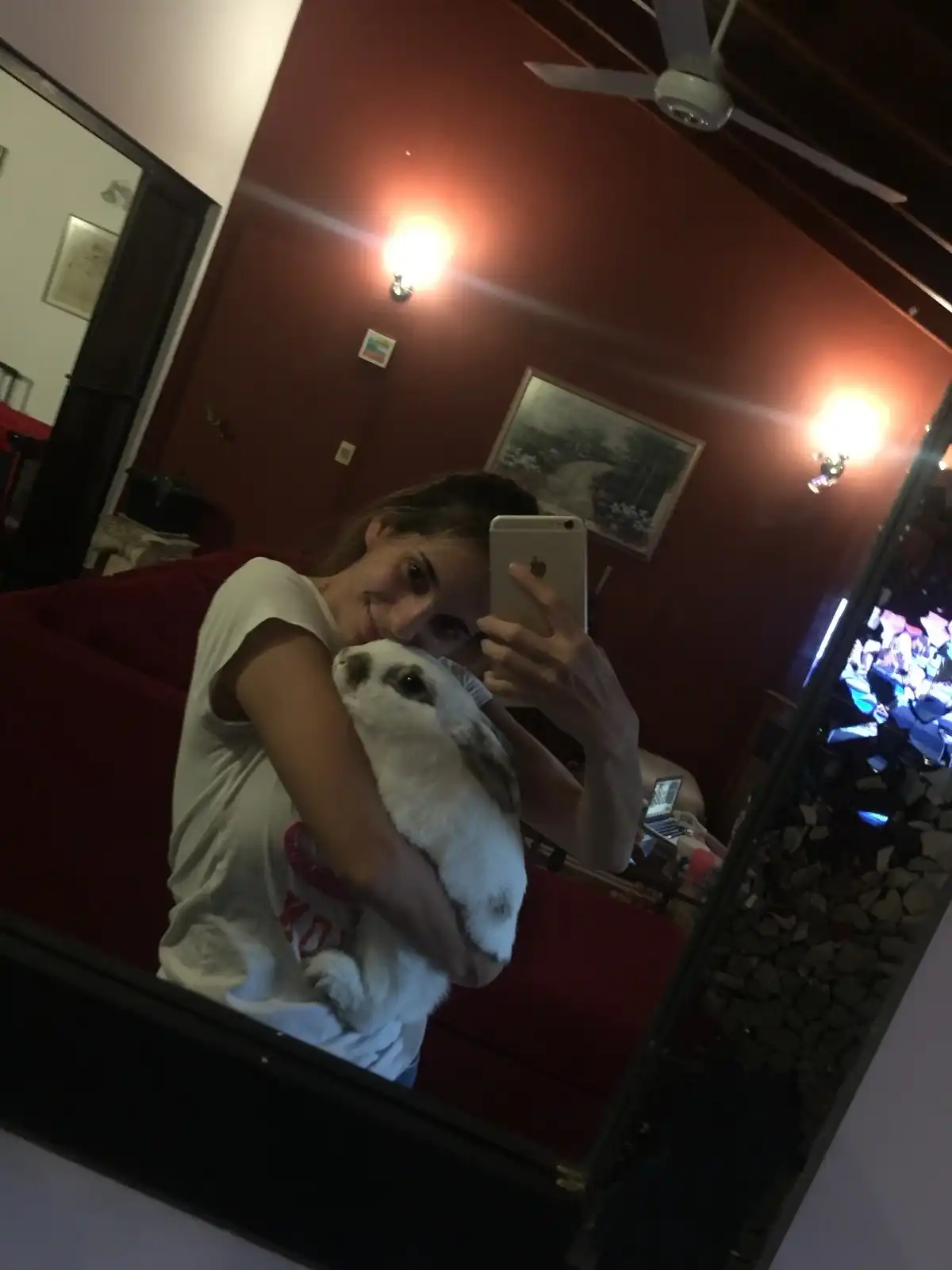 image-7
