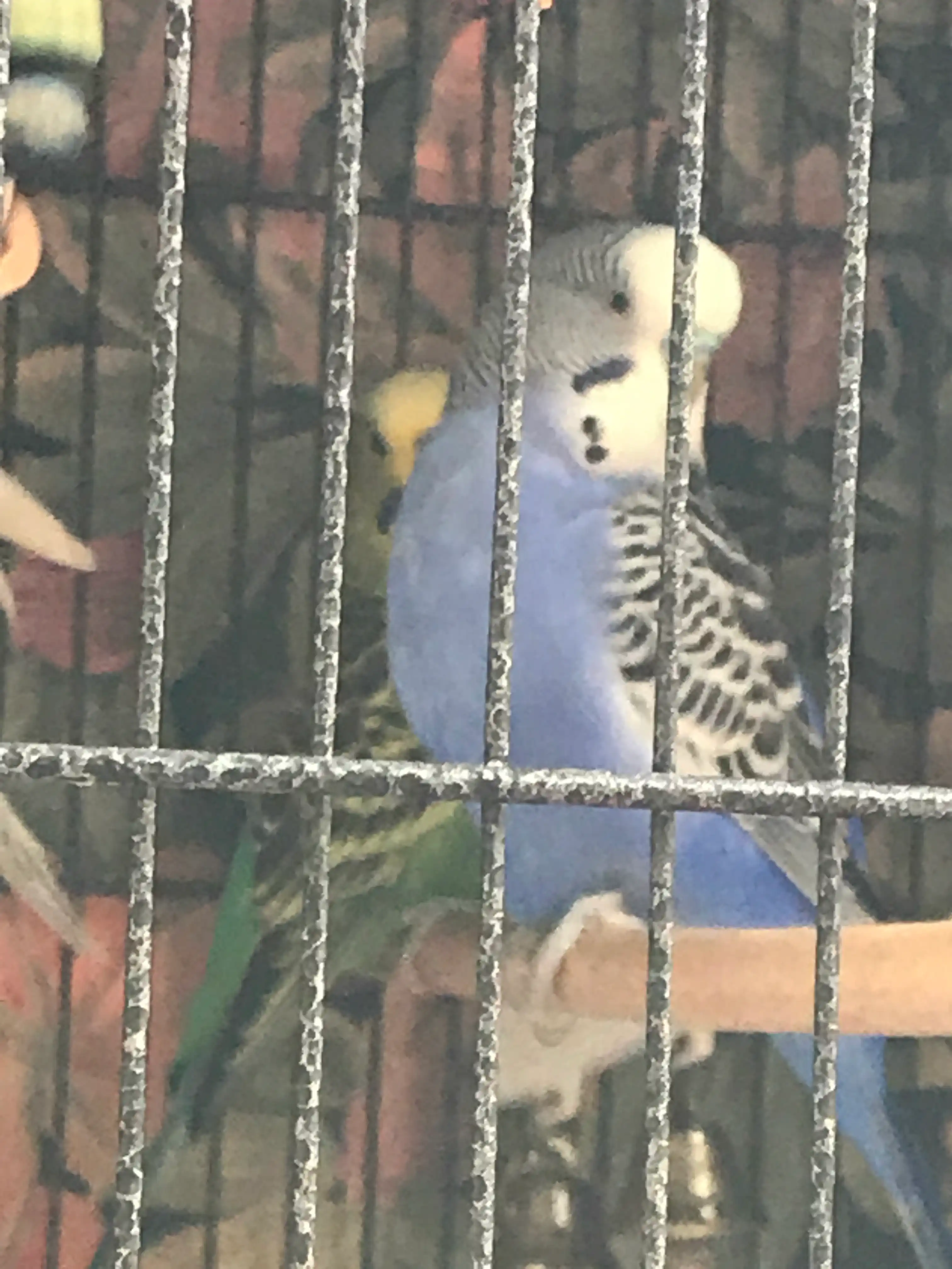 image-16