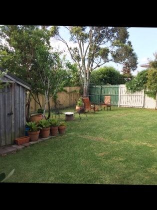 image-15