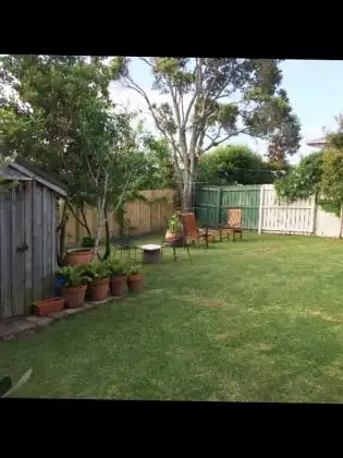 image-15