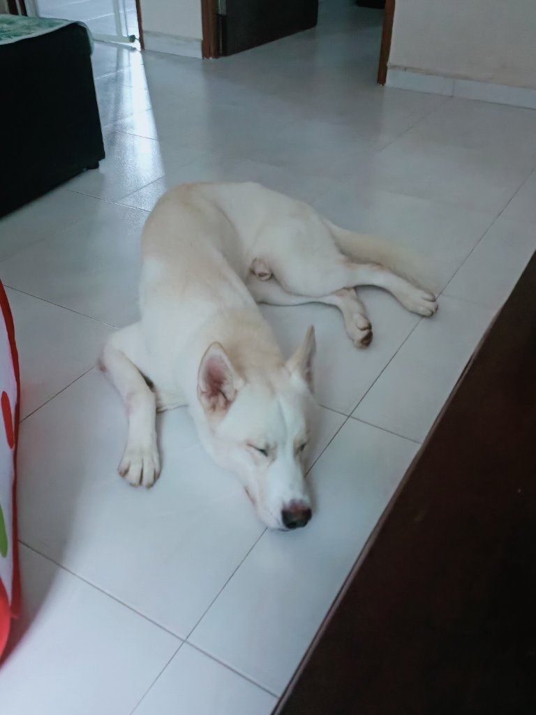 image-41
