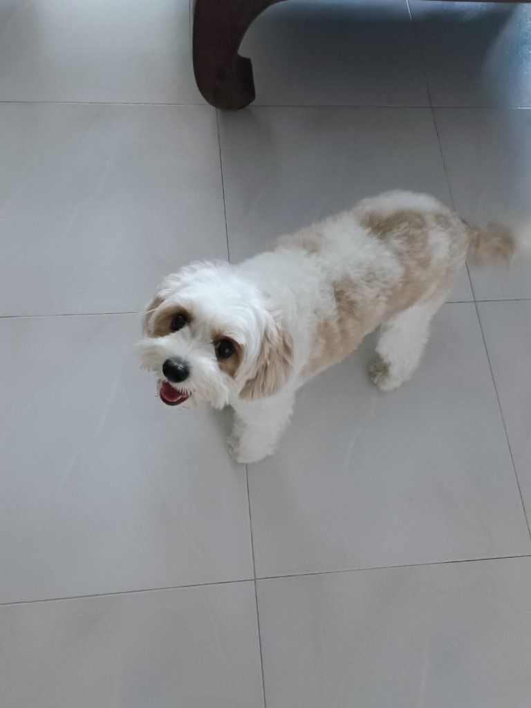image-25