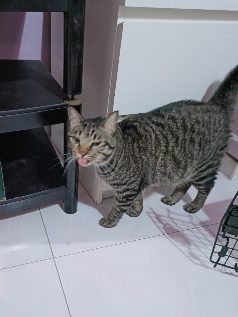 image-7