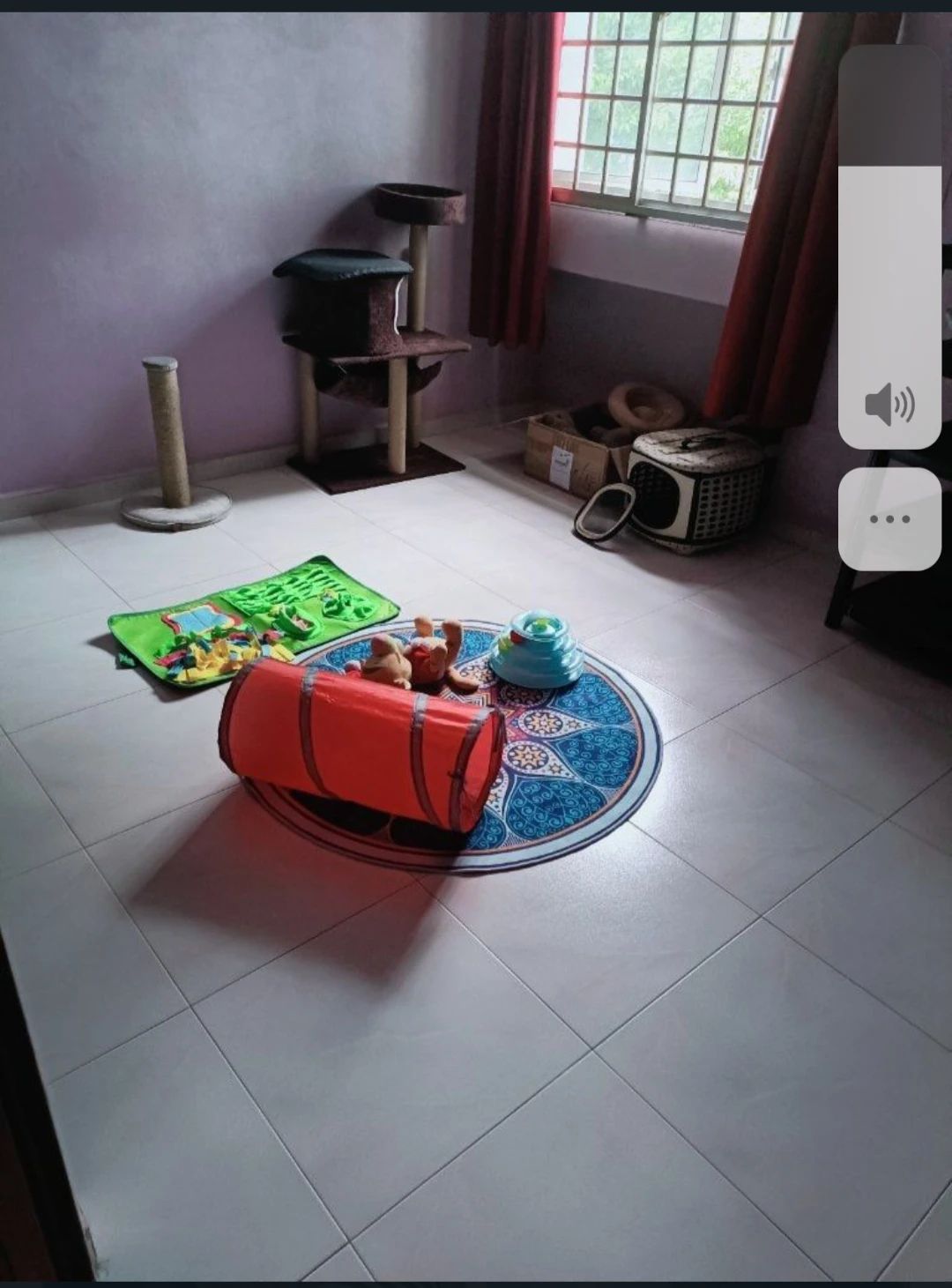 image-47
