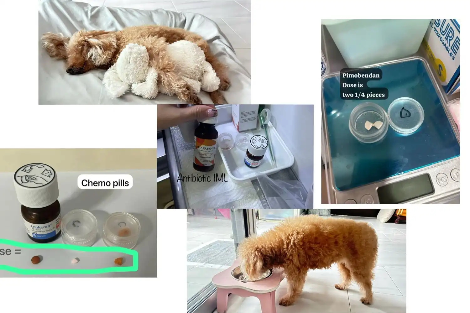 image-12