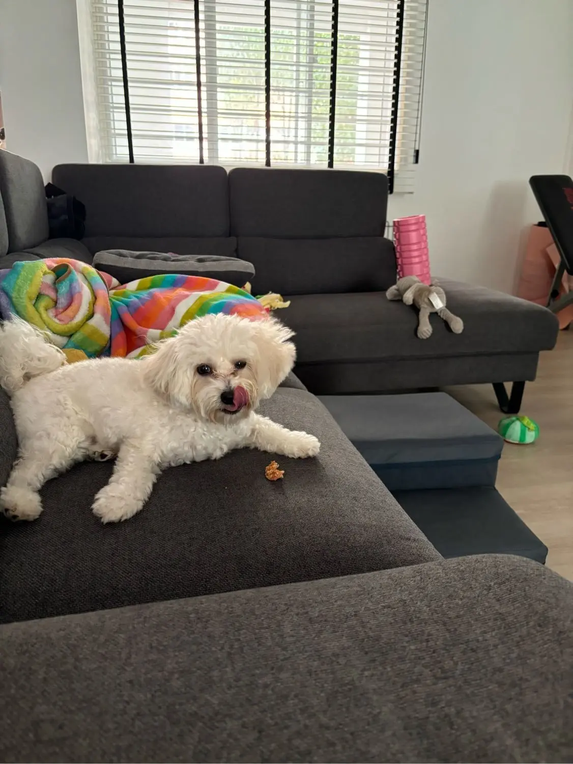 image-4