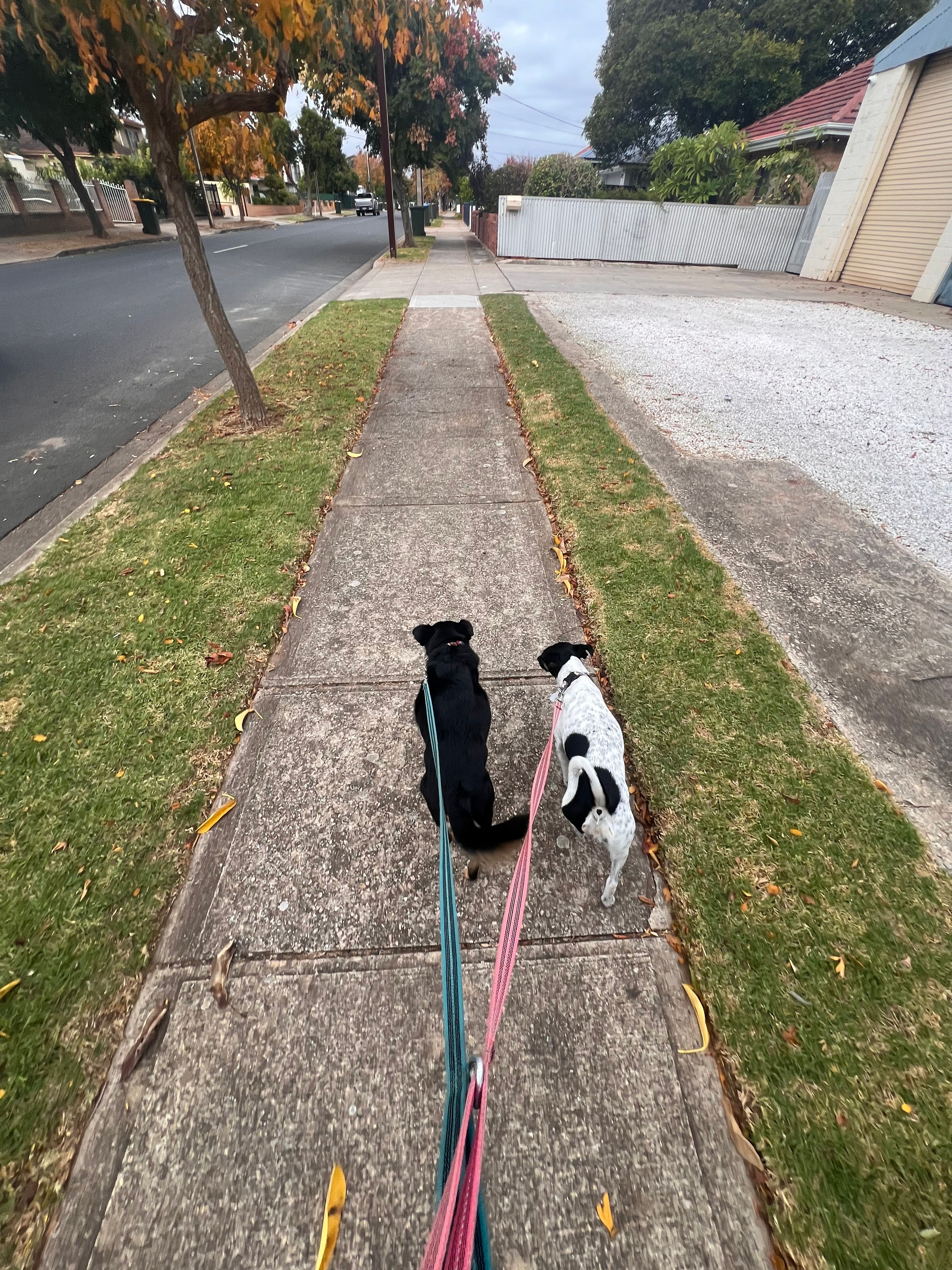image-18