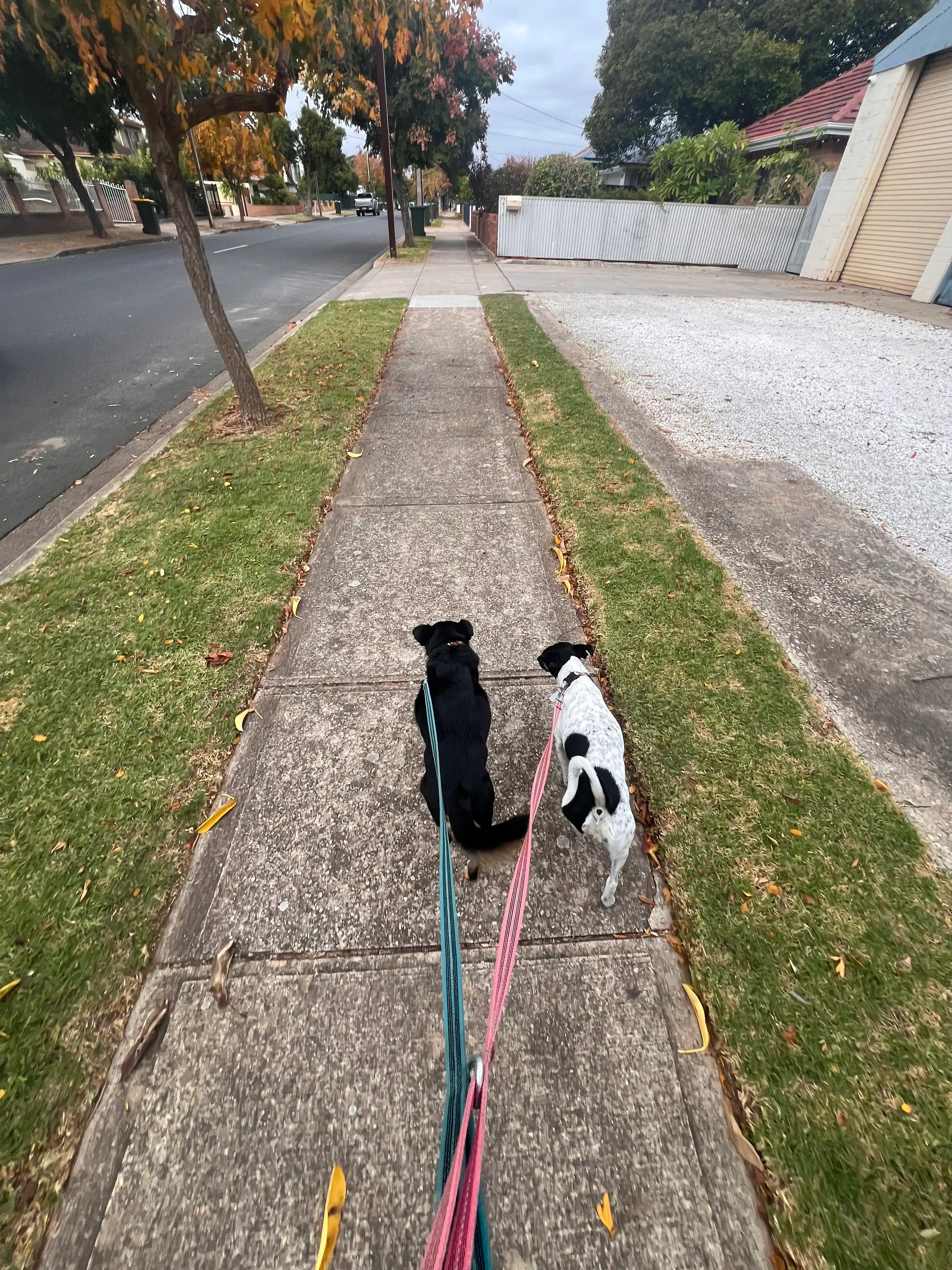 image-18