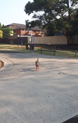 image-13
