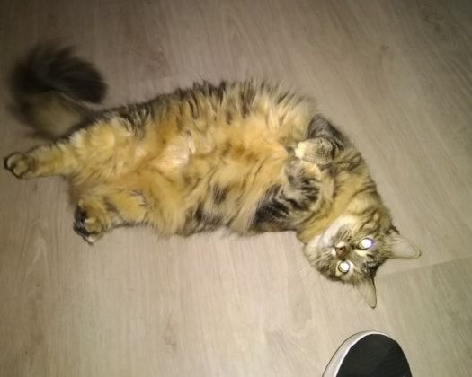 image-9