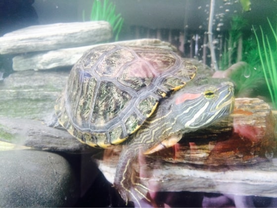 image-6