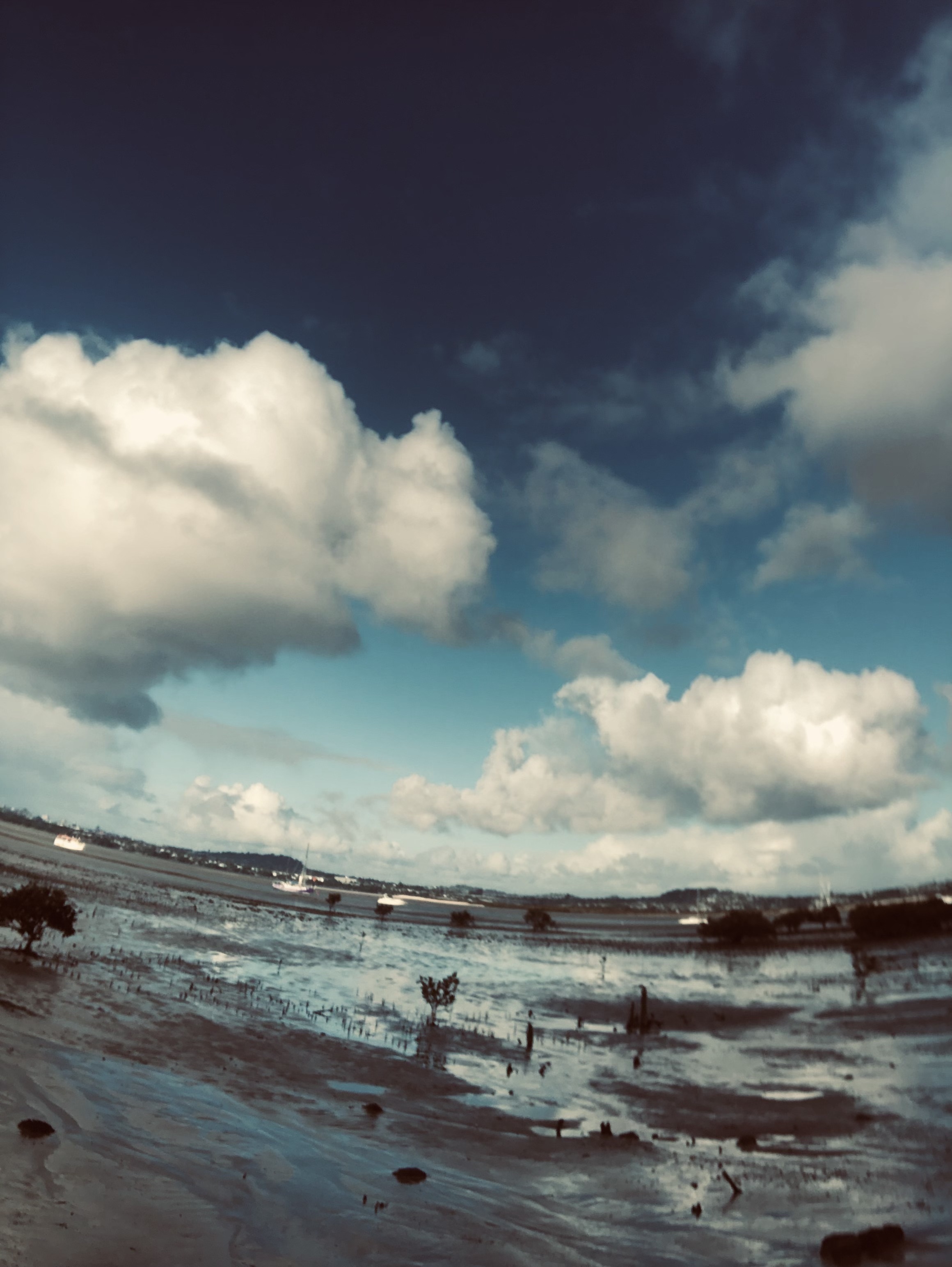 image-16