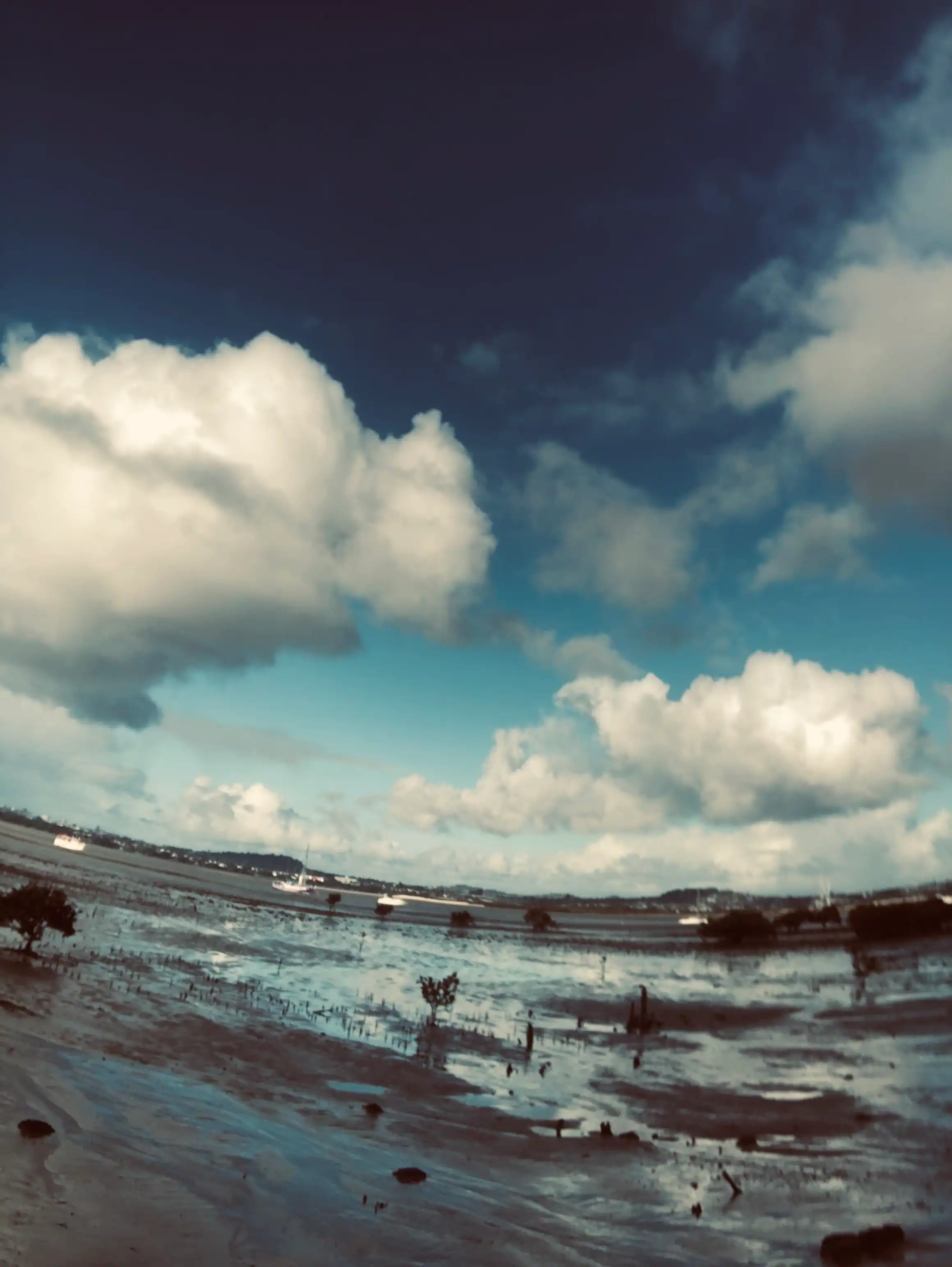 image-16