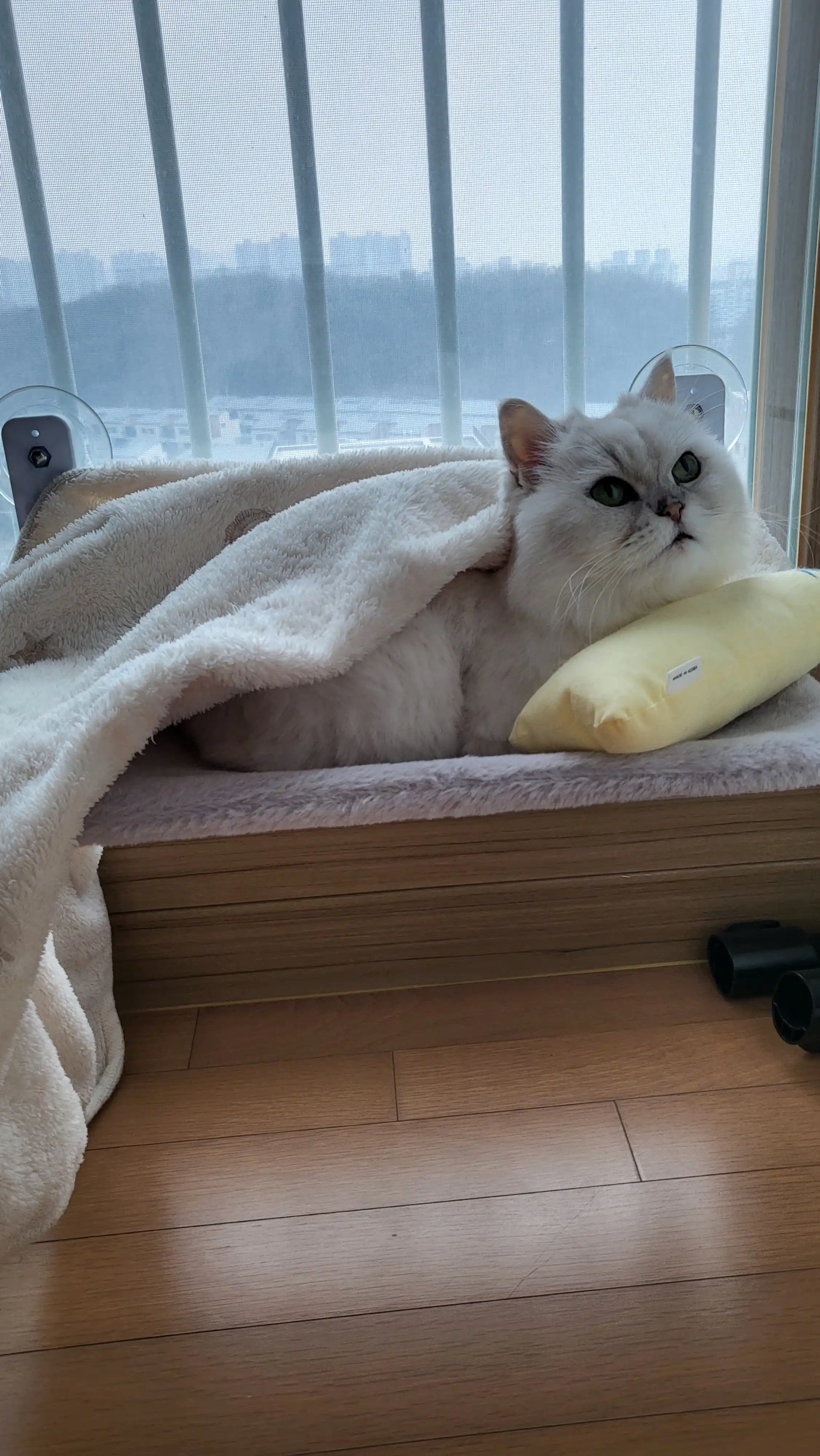 image-5