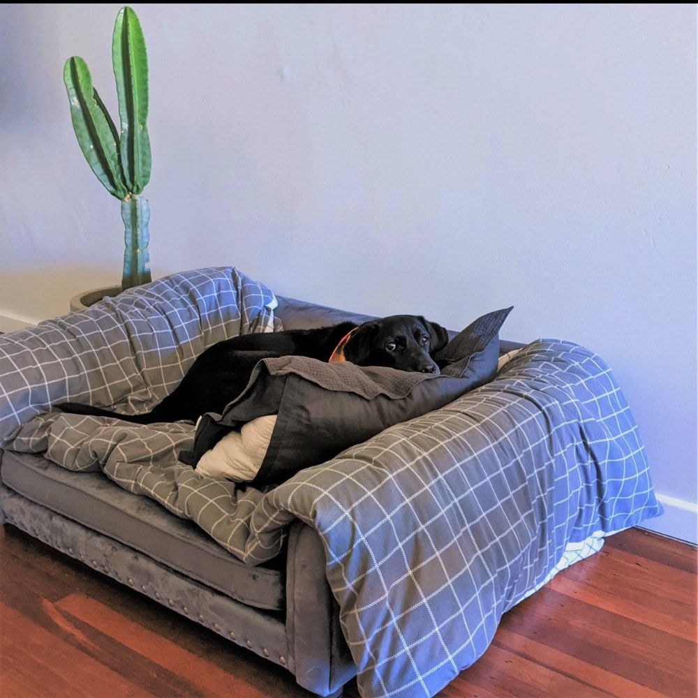 image-16