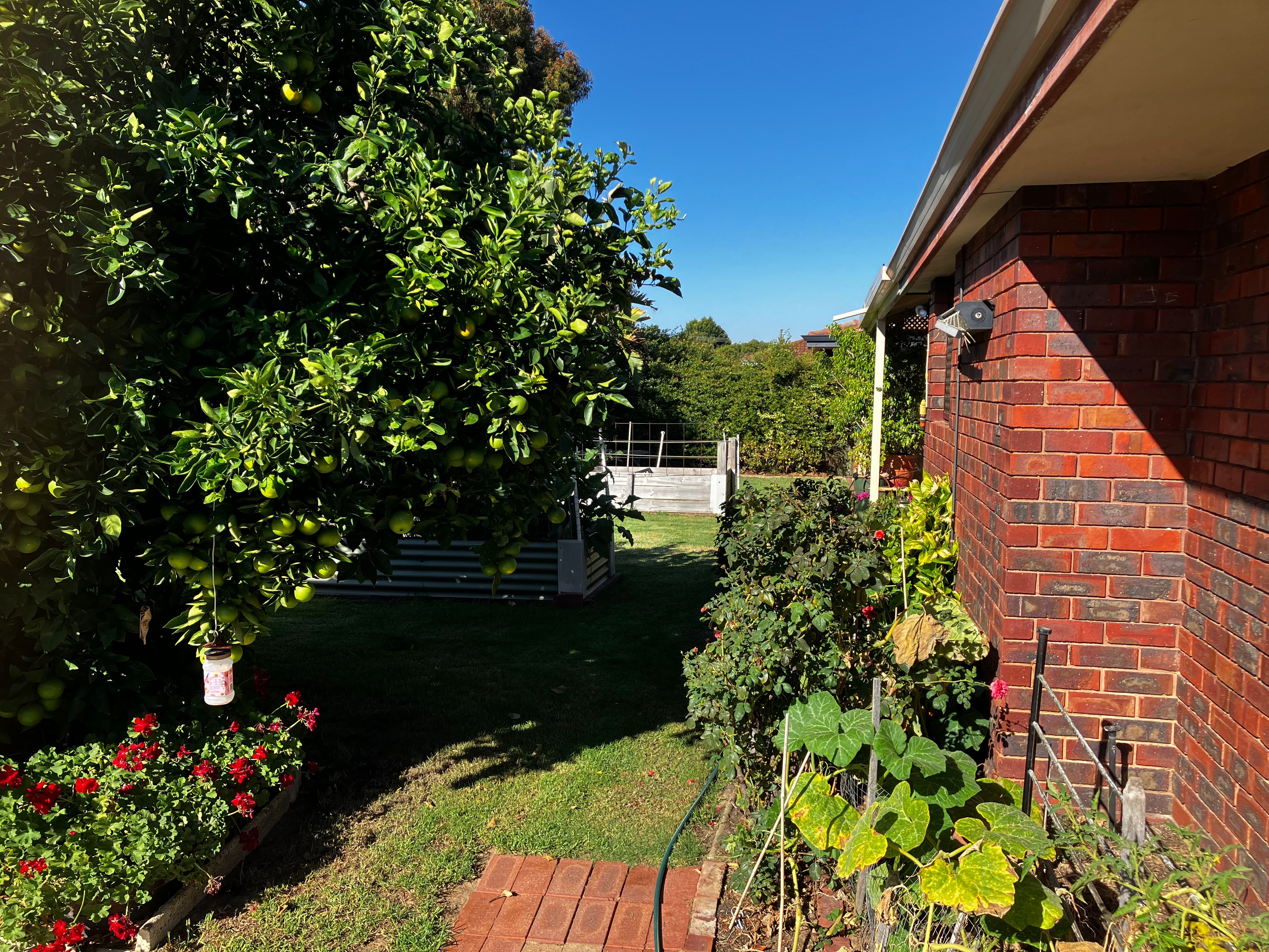 image-17