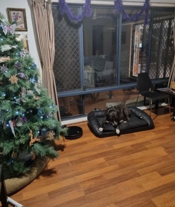 image-19
