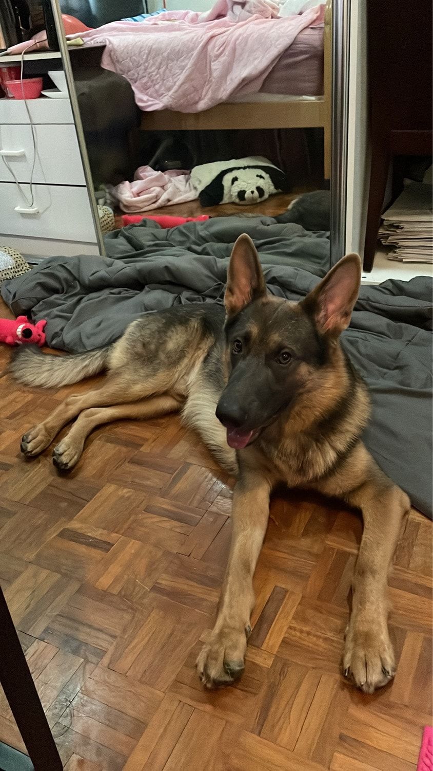 image-10