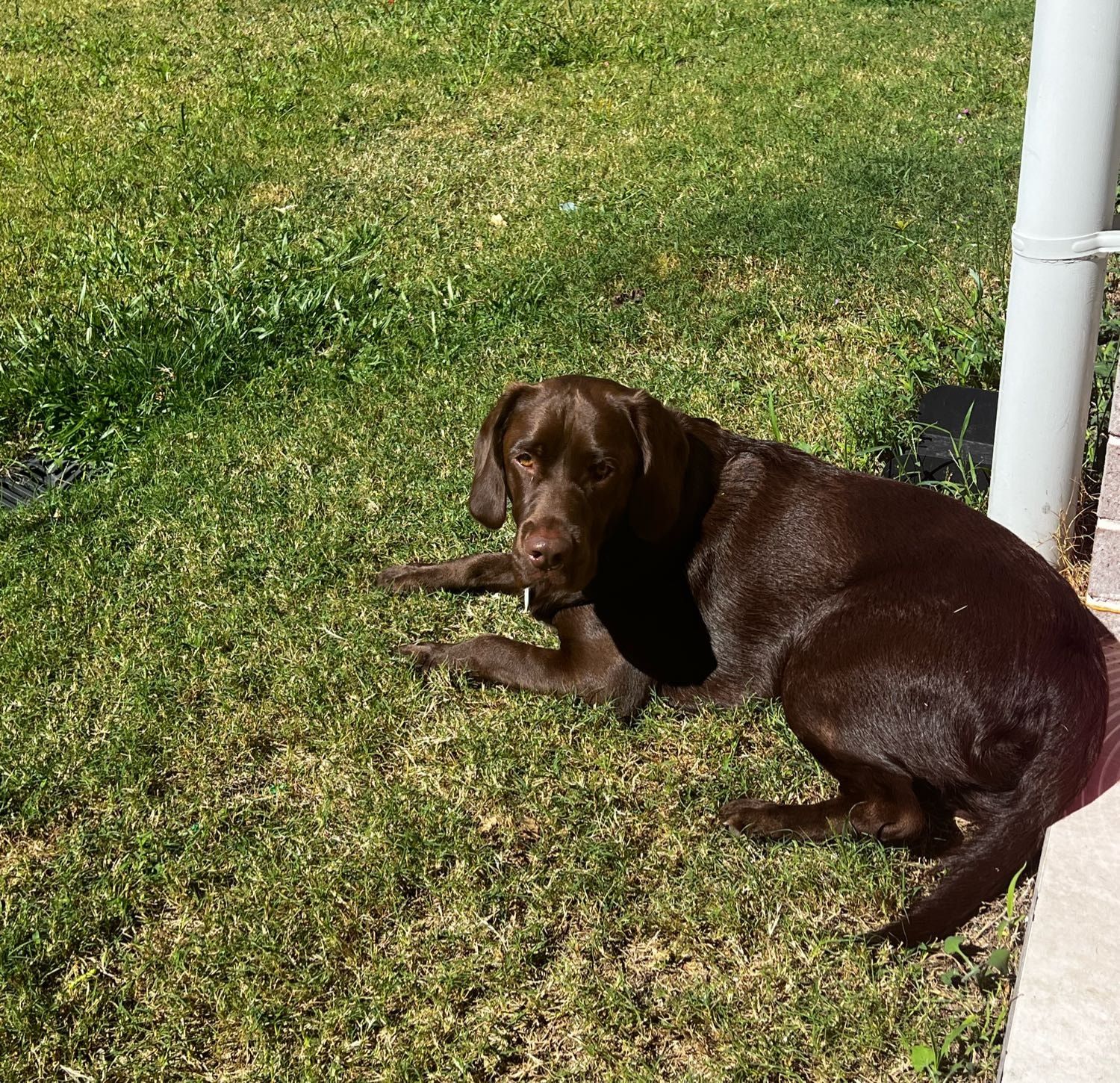 image-11