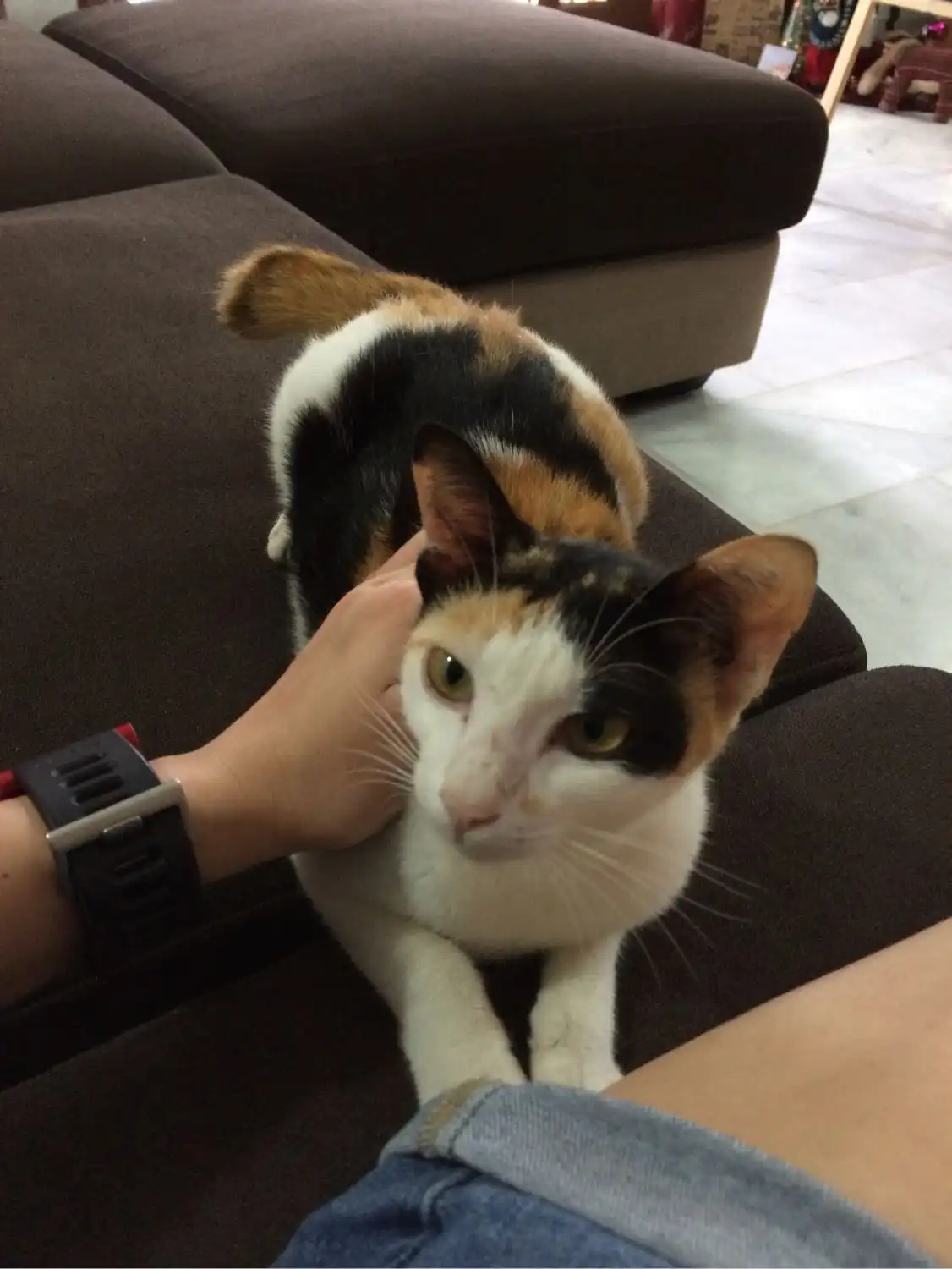 image-11