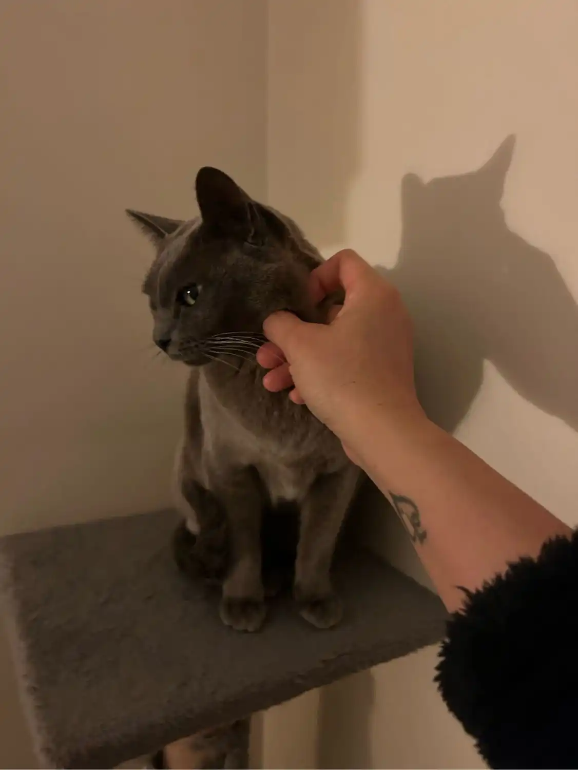 image-6