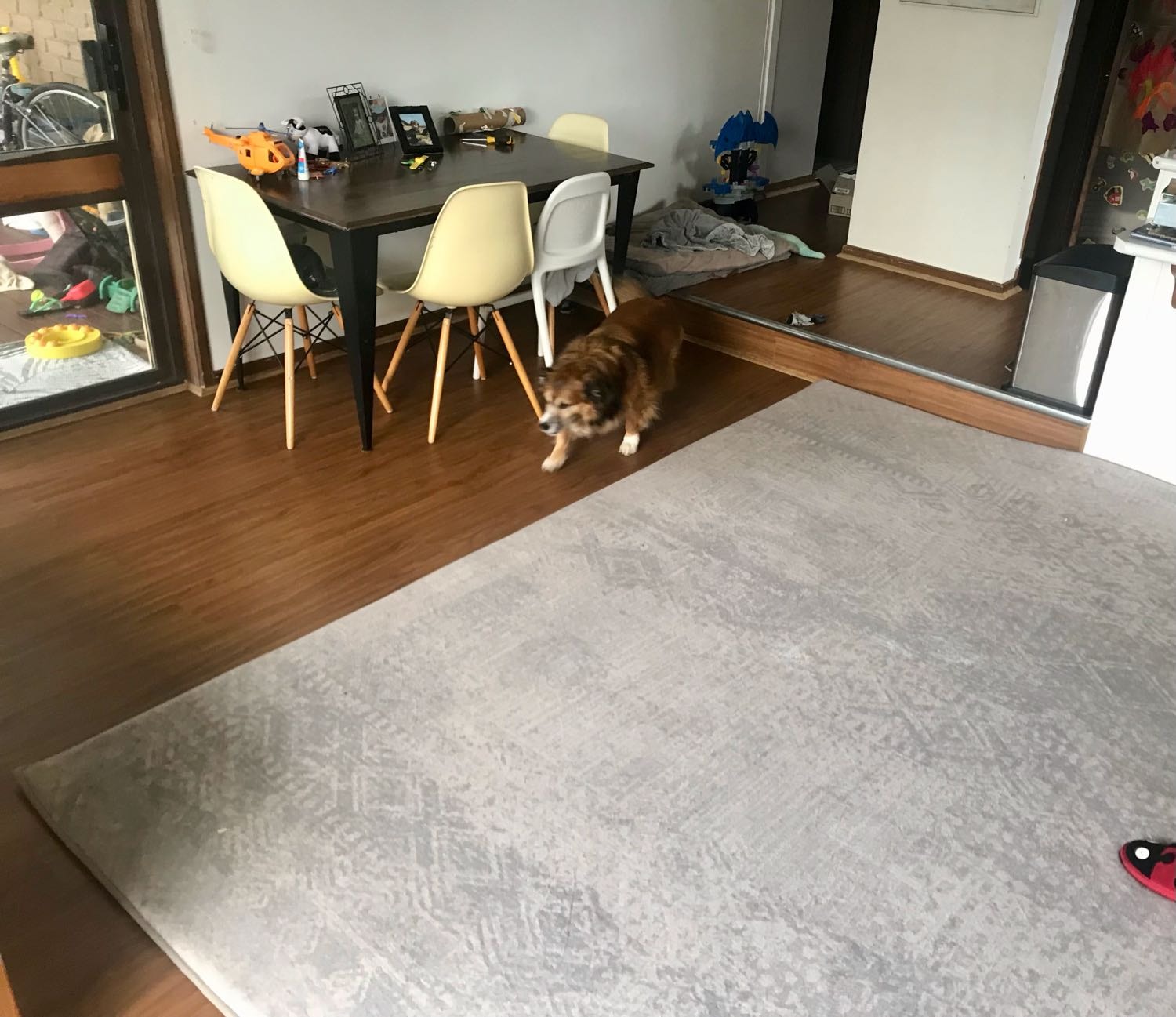 image-11