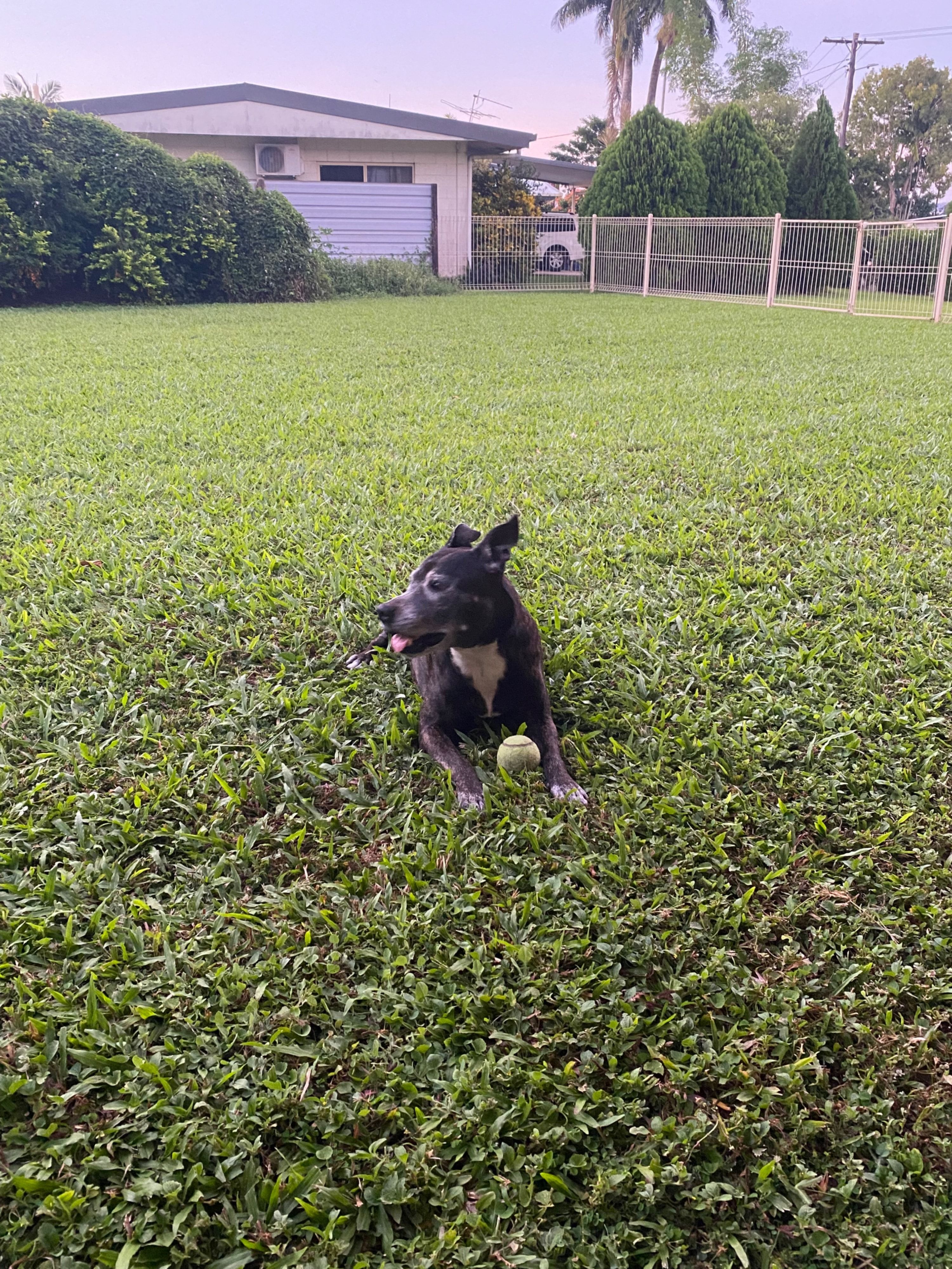 image-4