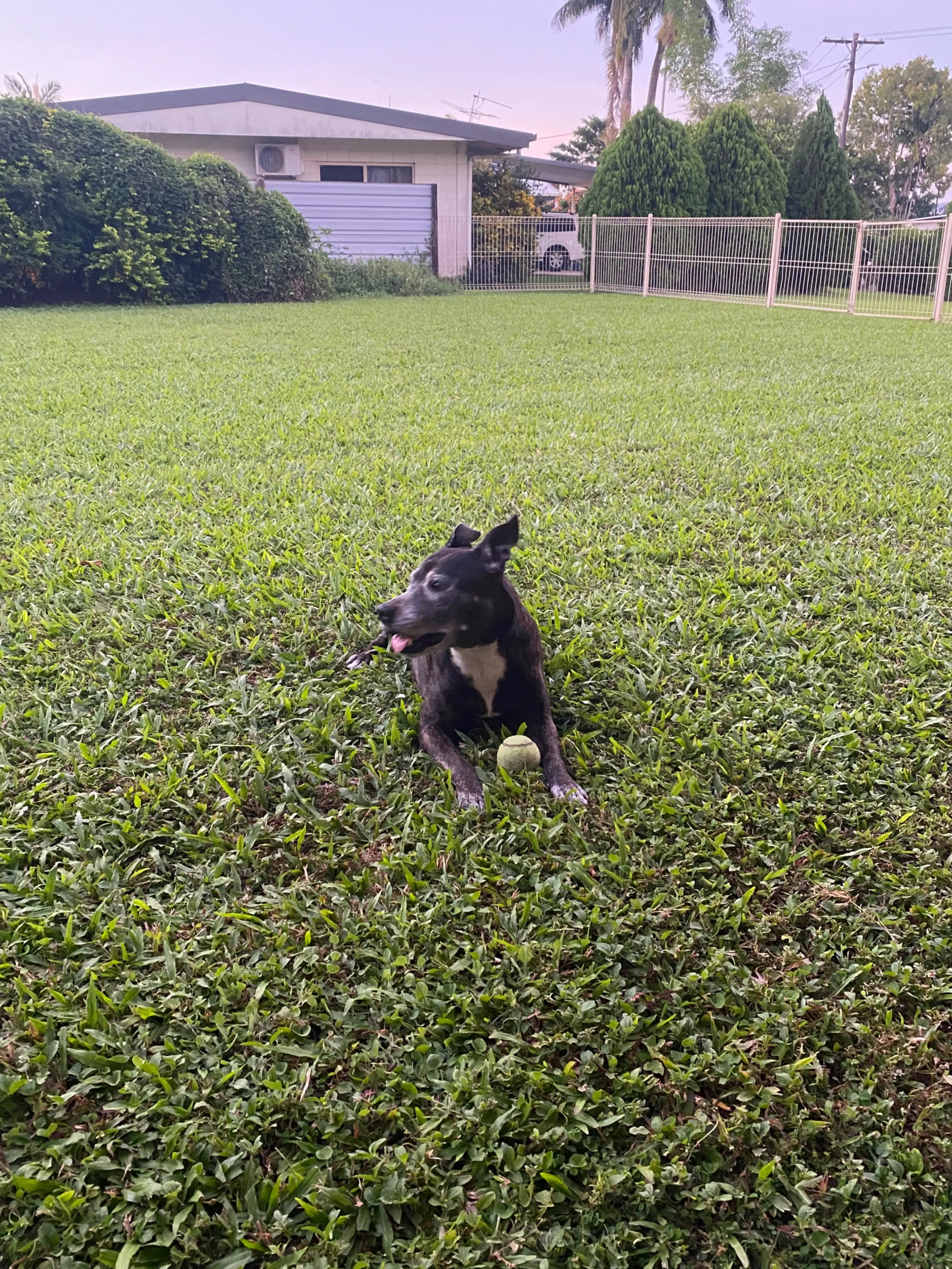 image-4