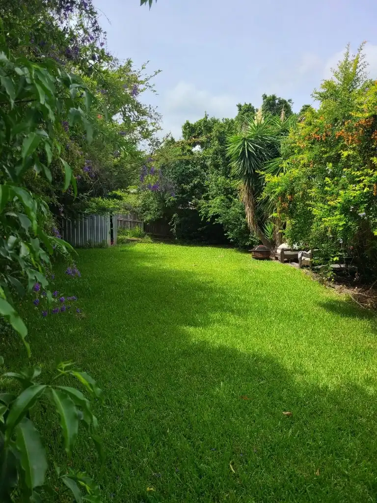image-7