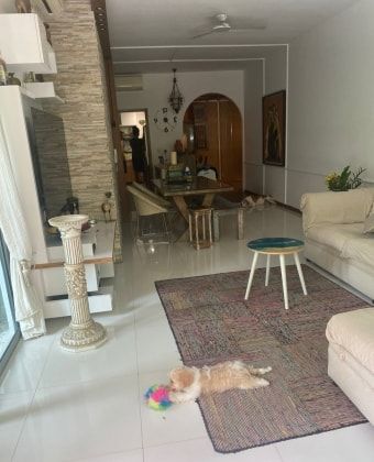 image-18