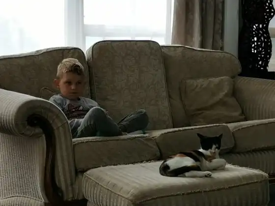 image-7
