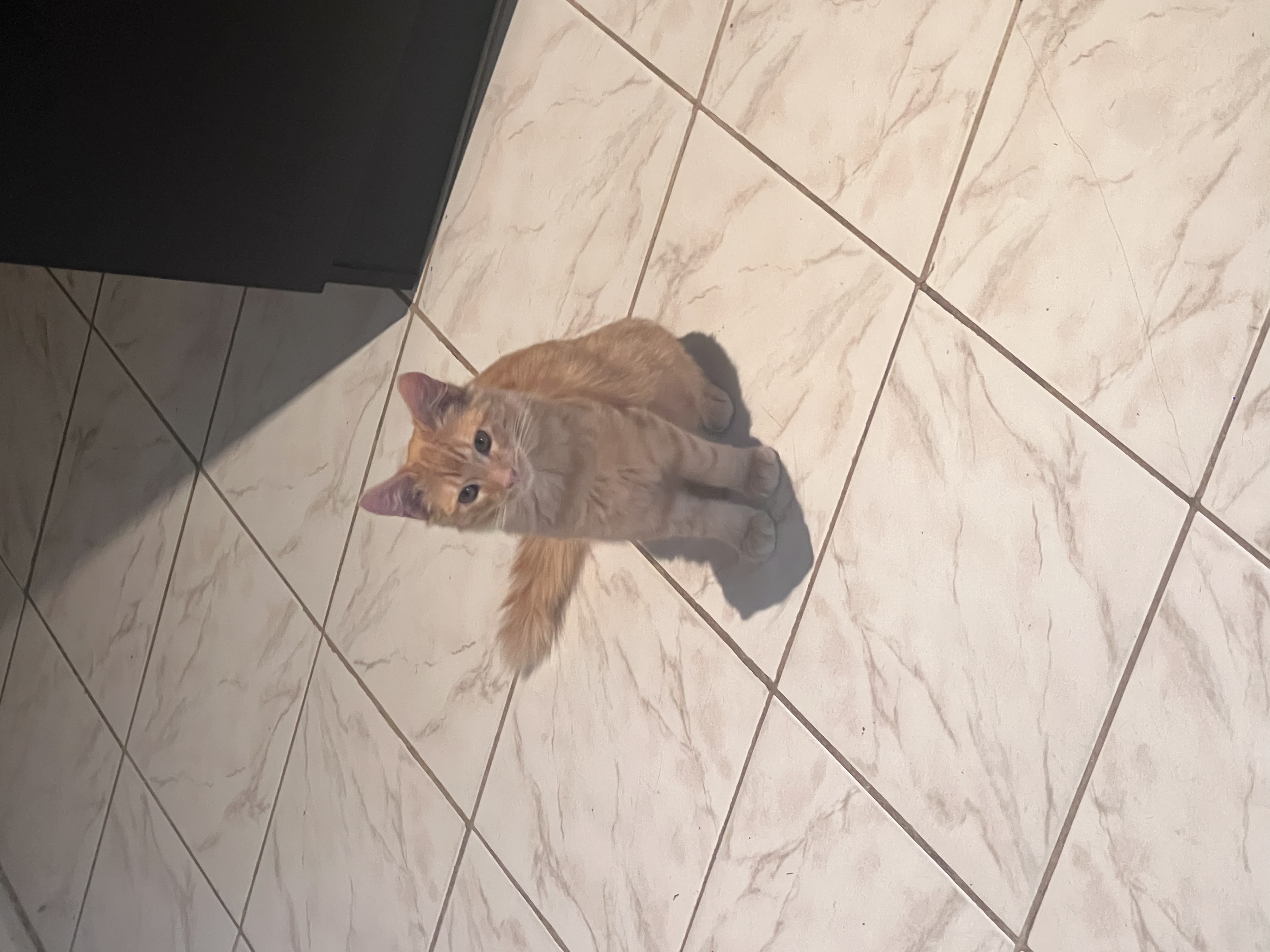 image-6