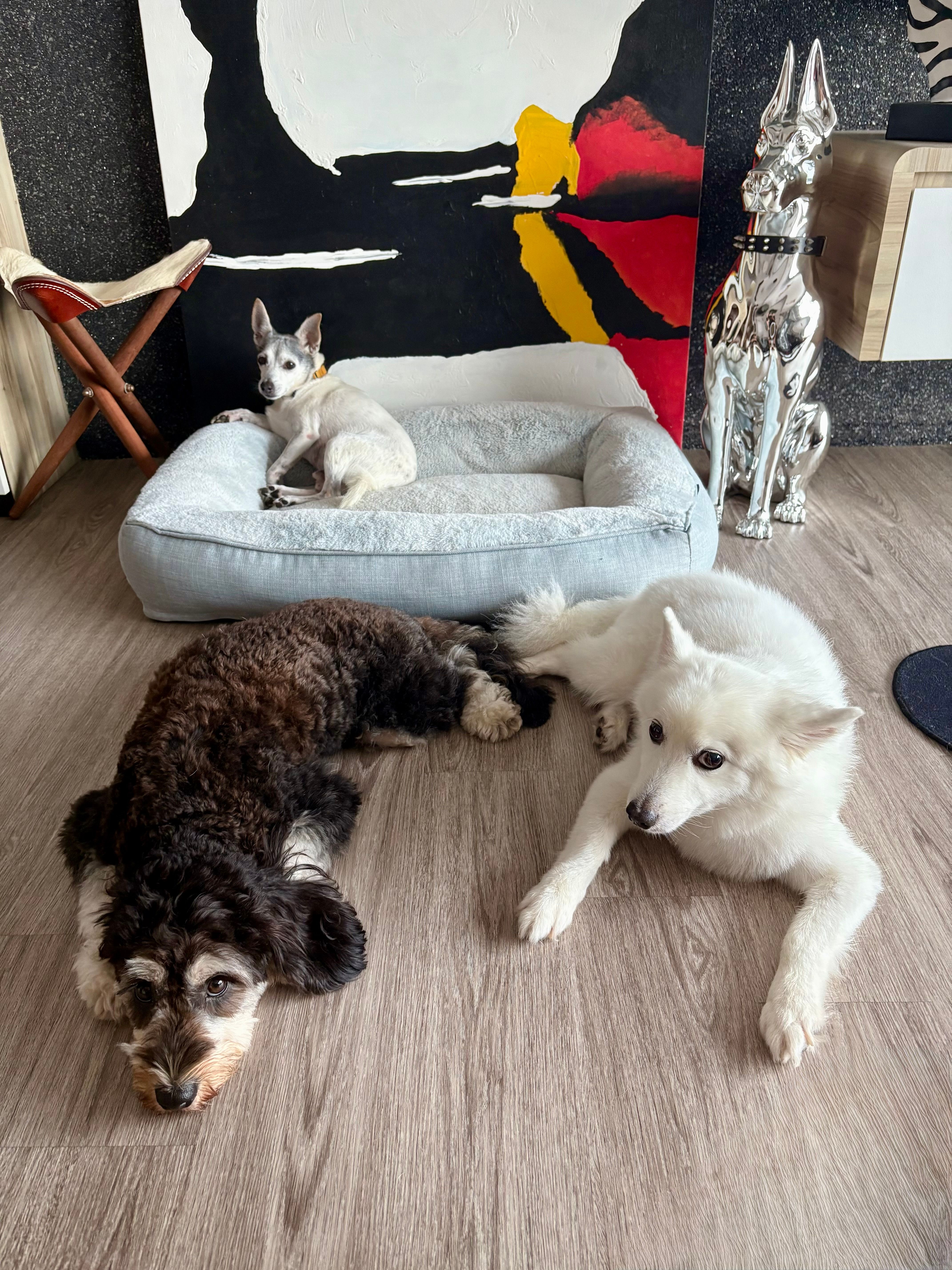 image-18