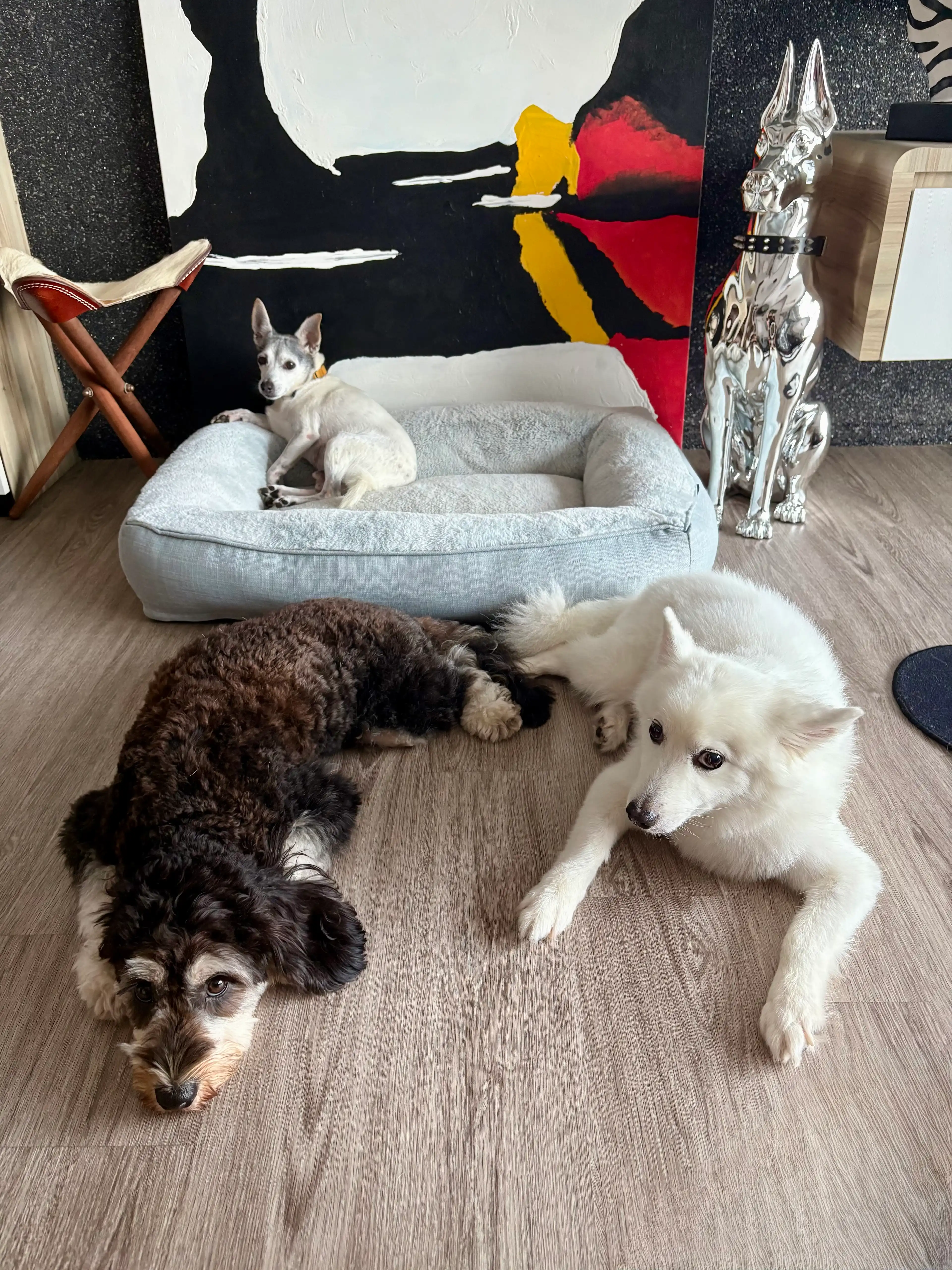 image-18