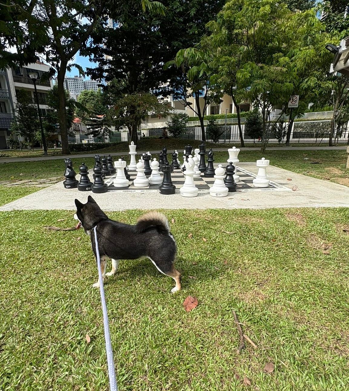 image-22