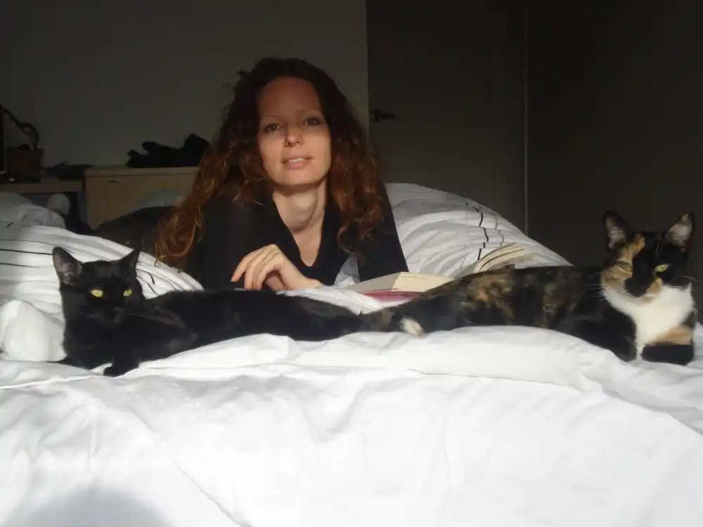image-5