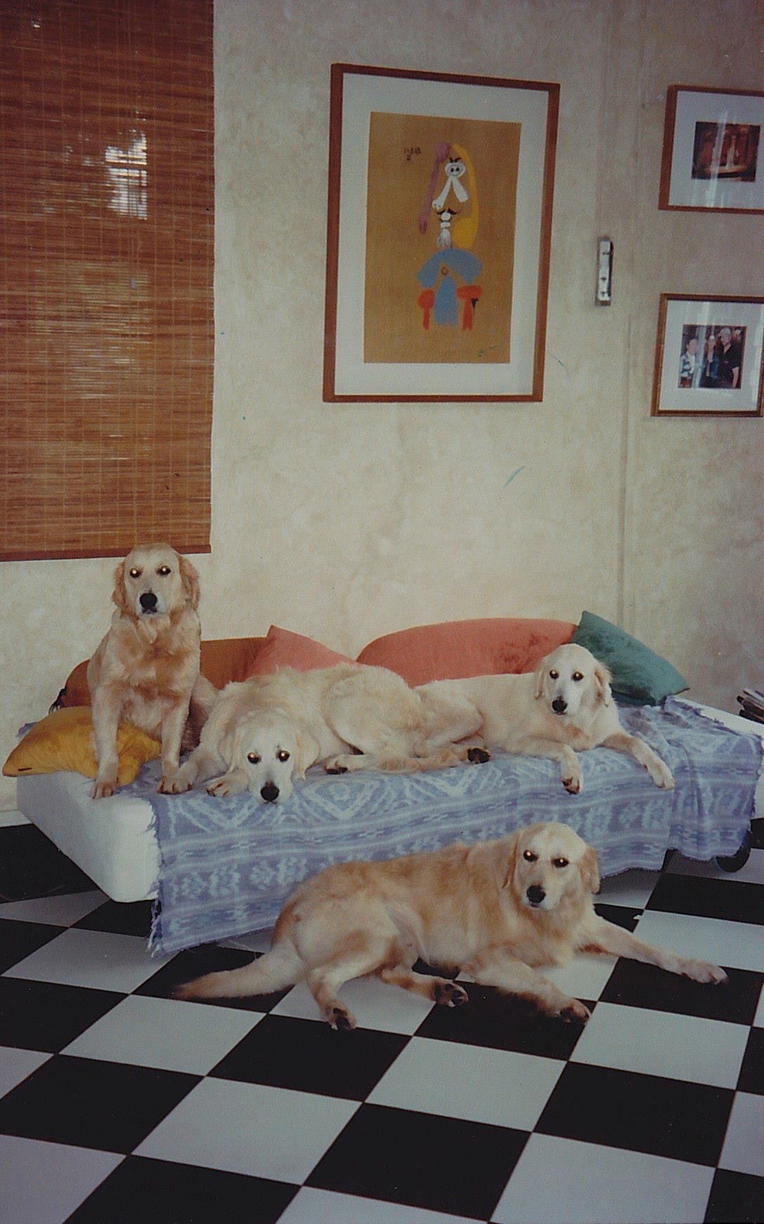image-17
