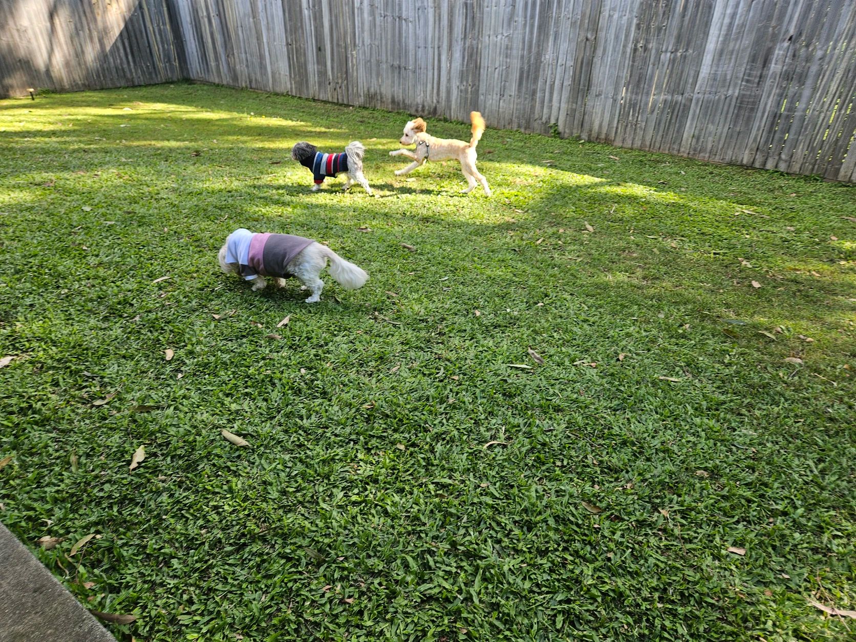 image-14