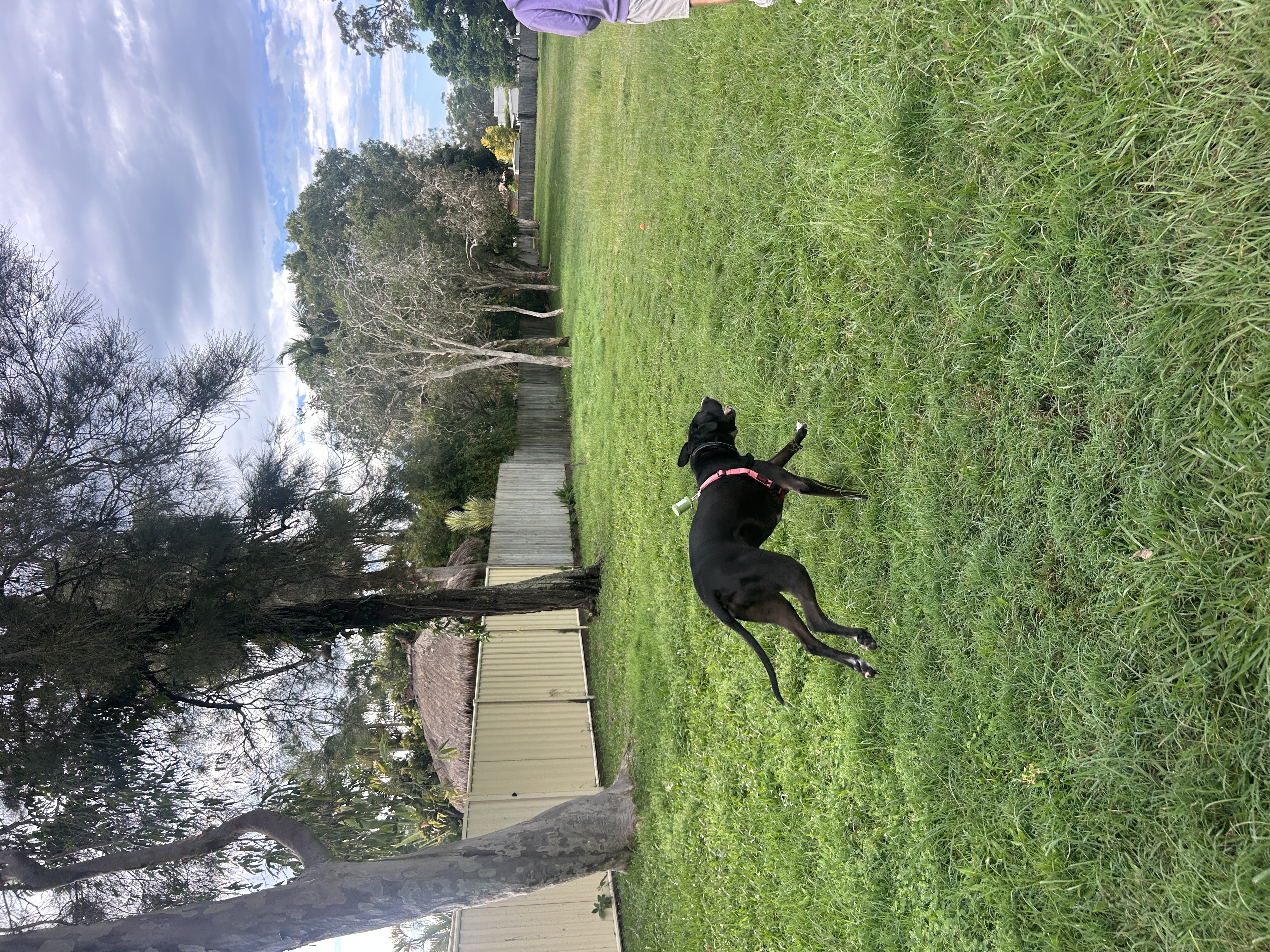 image-10