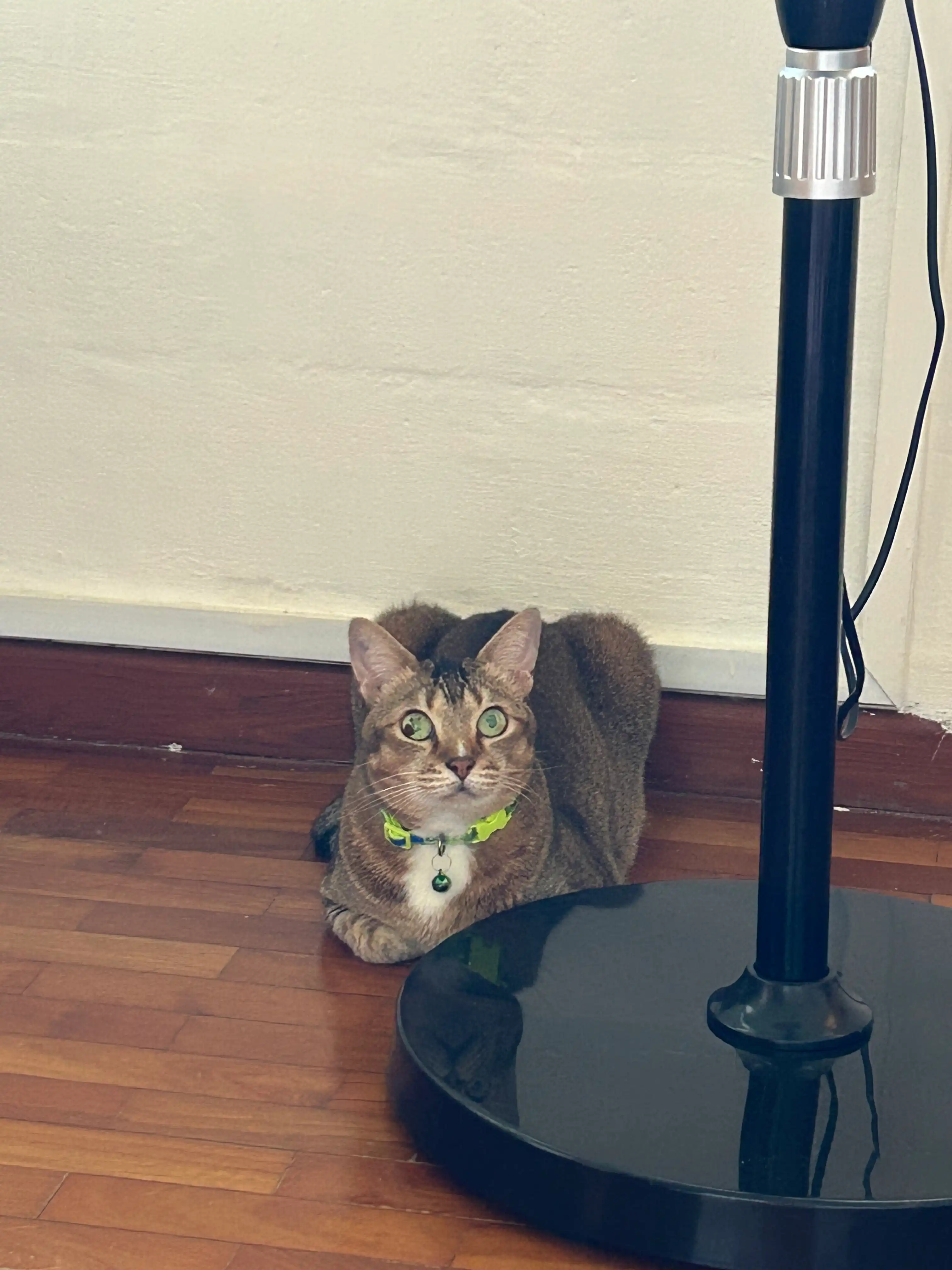 image-6