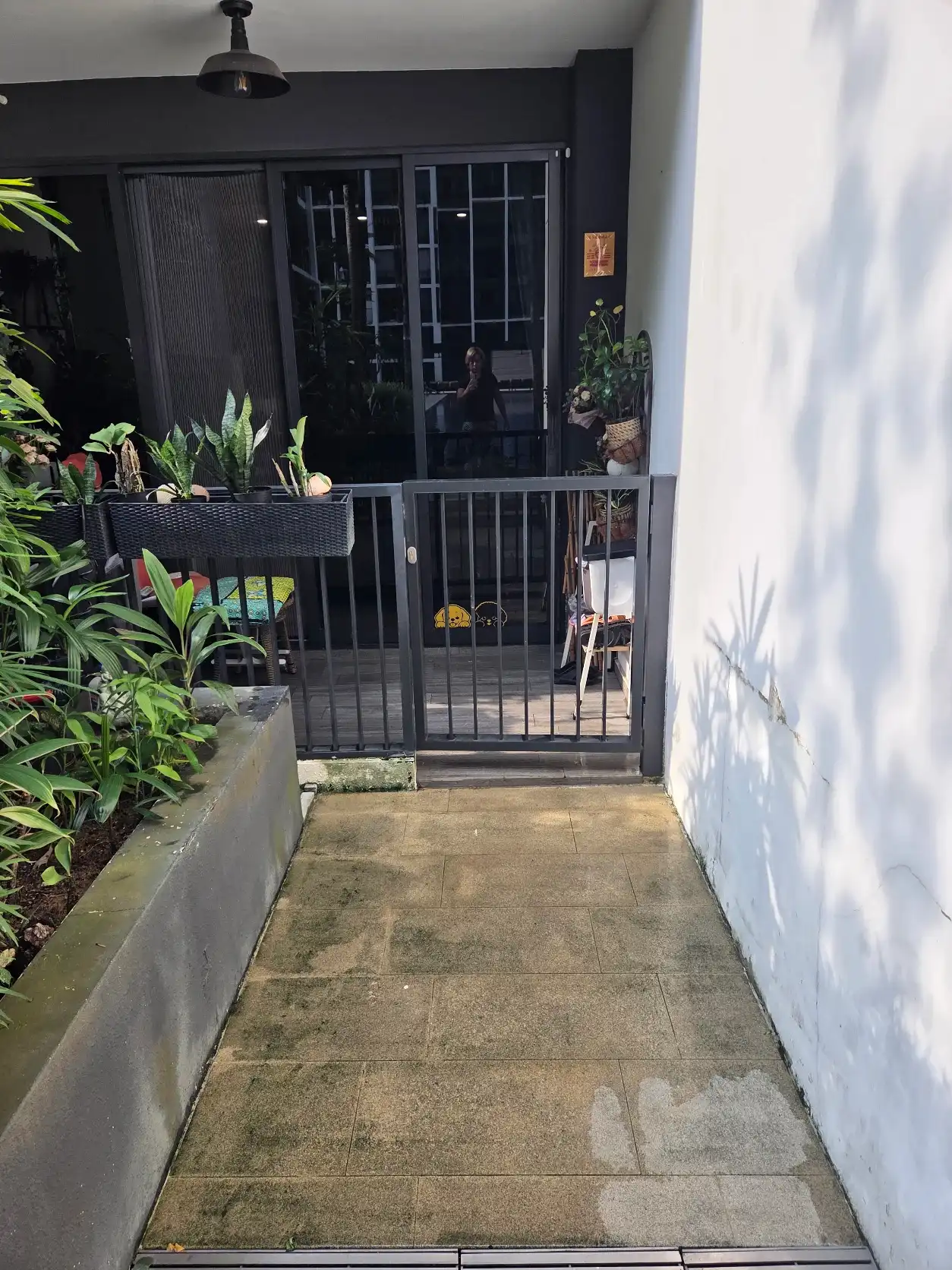 image-12