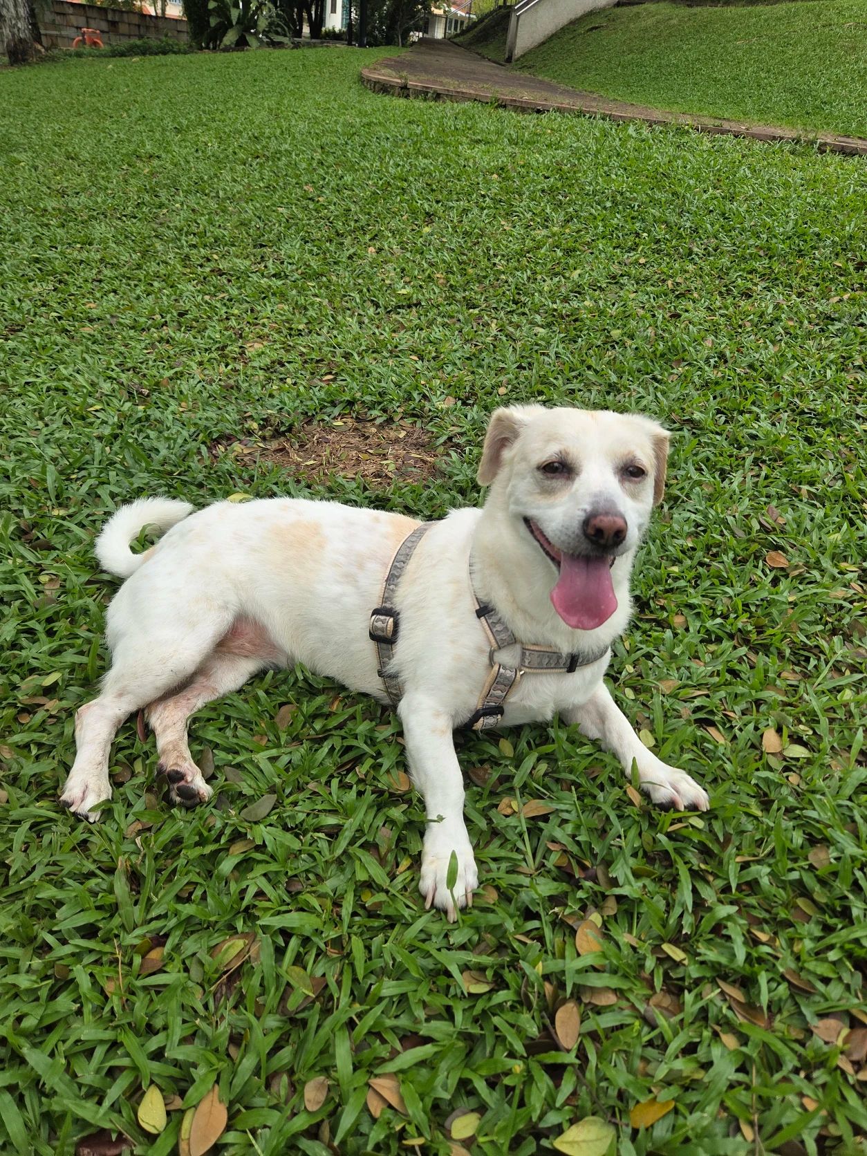 image-5