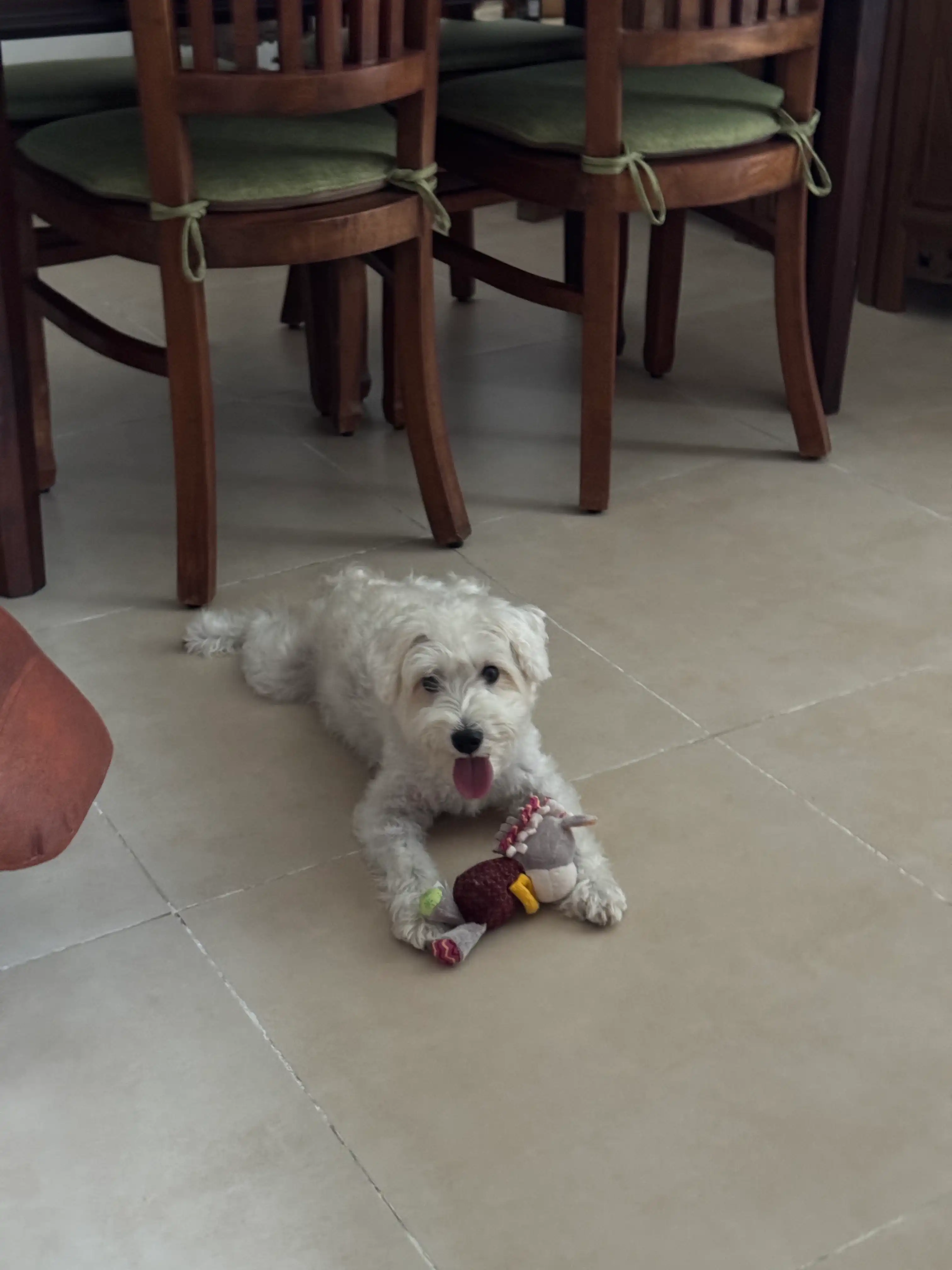 image-31