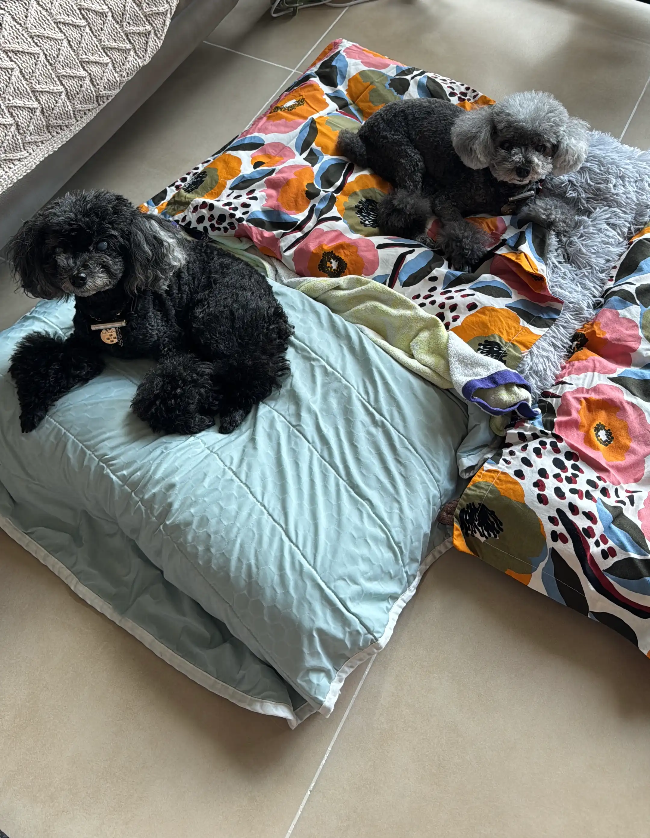 image-28
